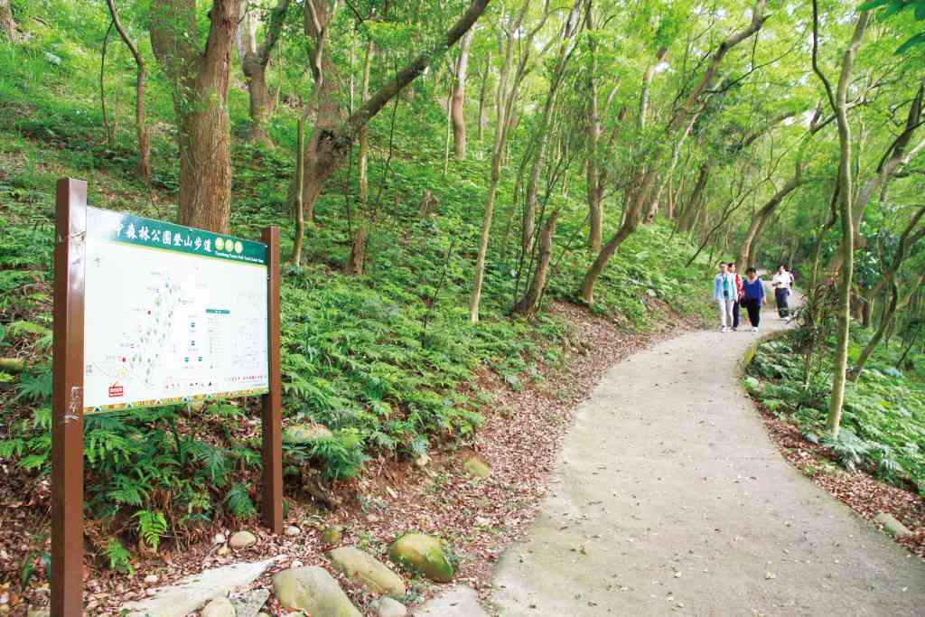 田中森林公園登山歩道
