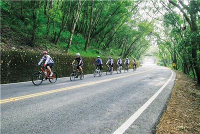 縣139線景觀道路