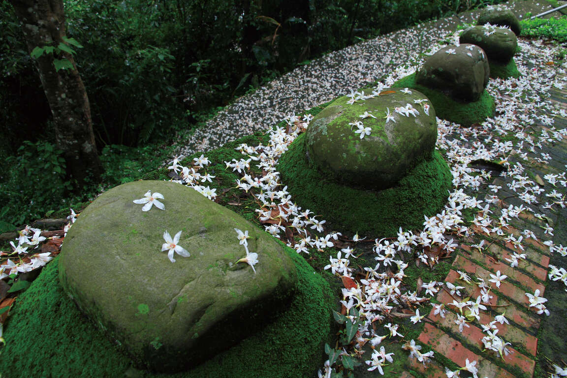Lion's Head Mountain Historic Trail