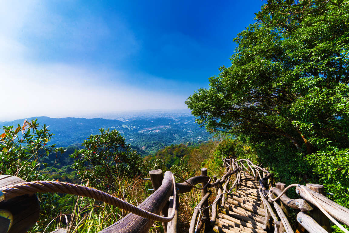 大坑5-1登山歩道
