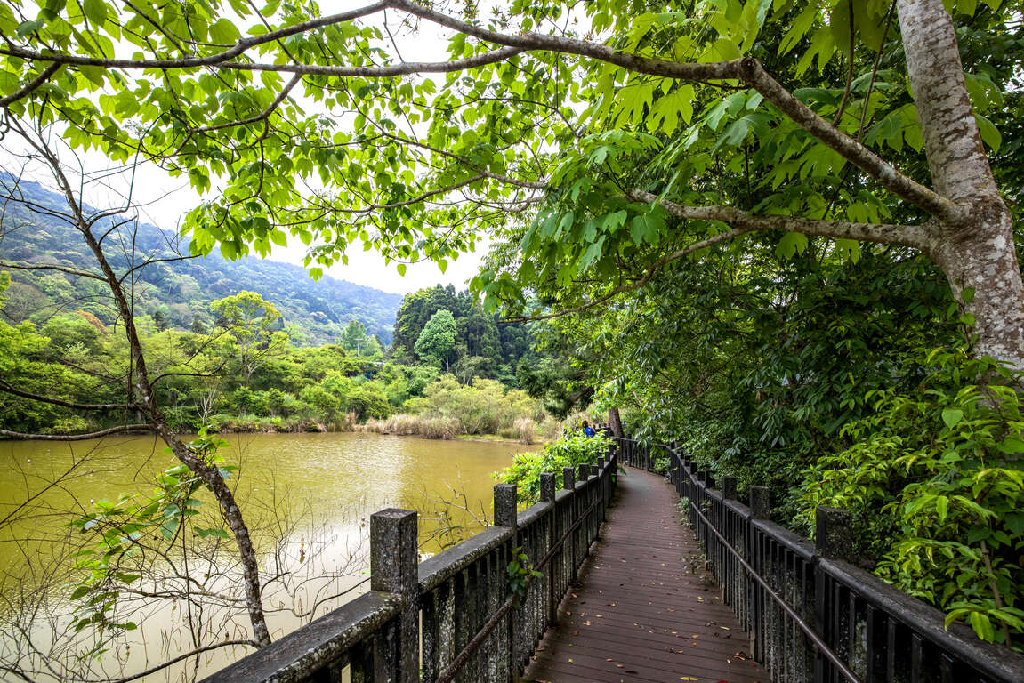 向天湖步道