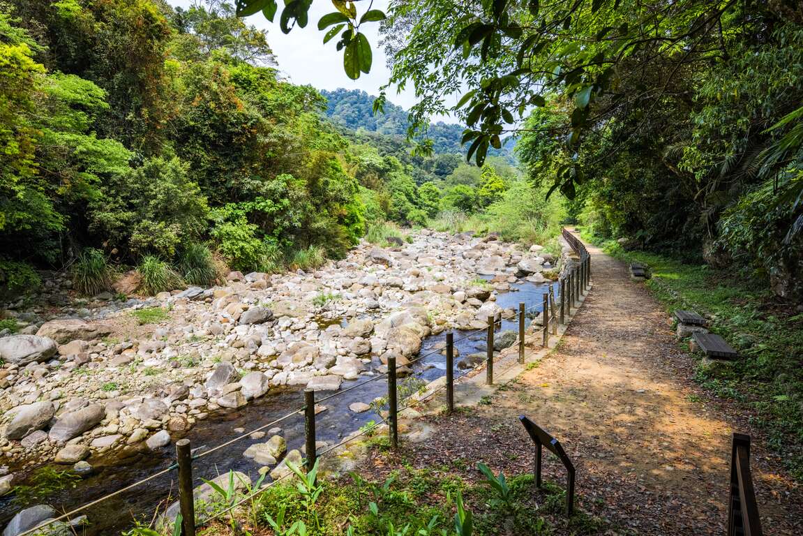 蓬萊溪自然生態園區溪流