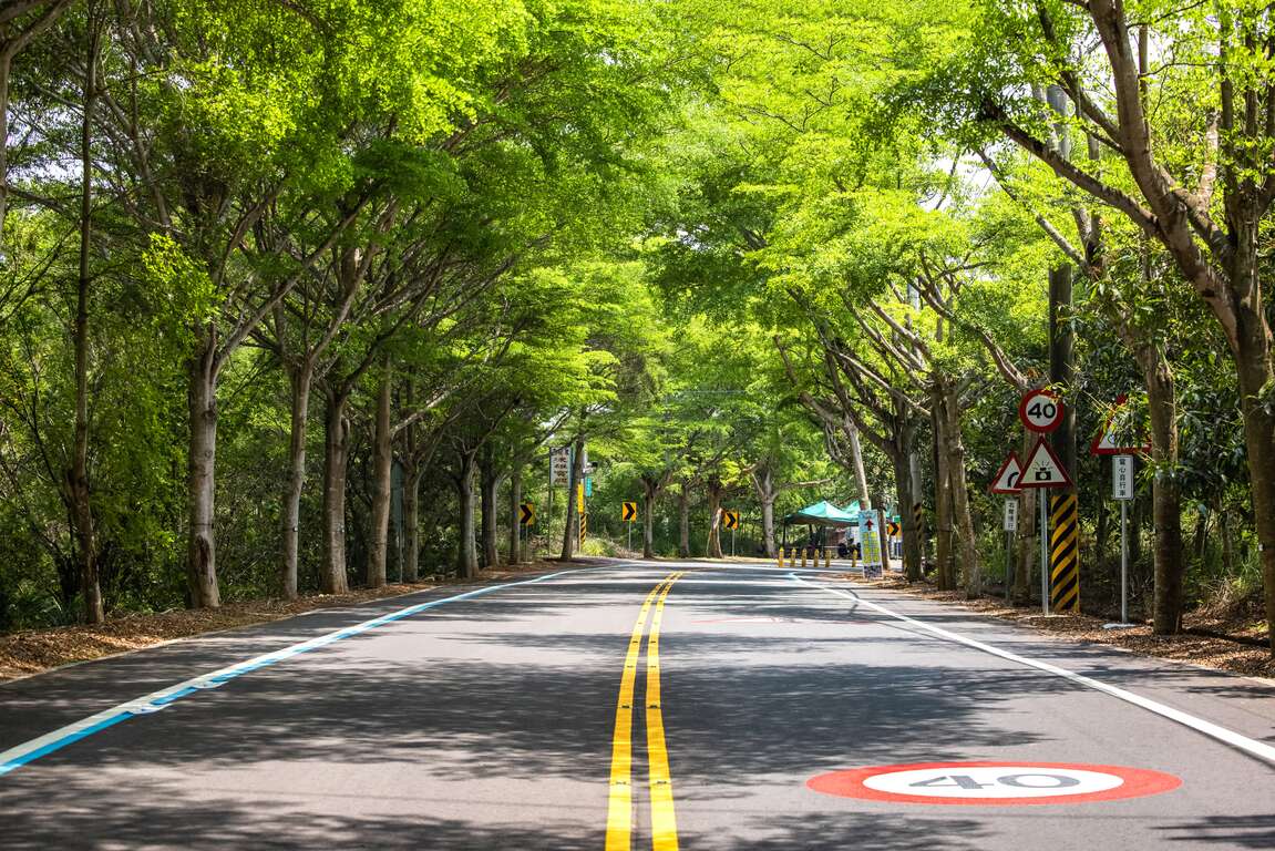 縣139景觀道路限速