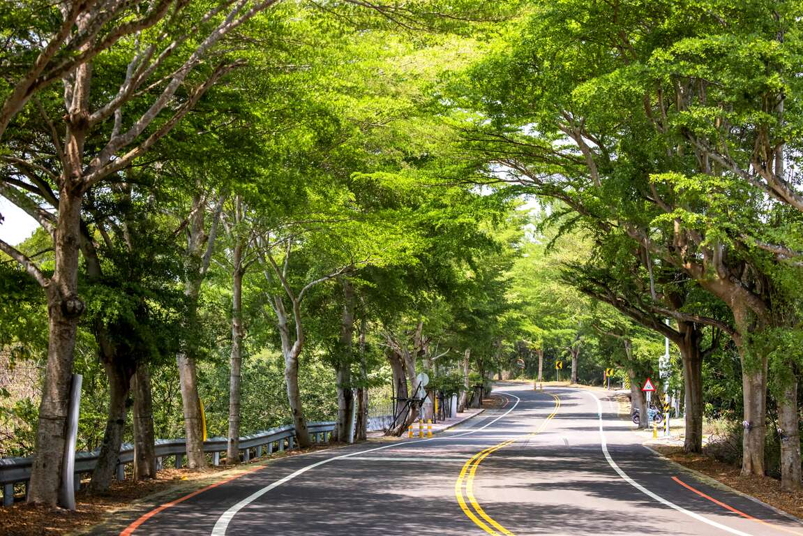 縣139景觀道路彎曲路