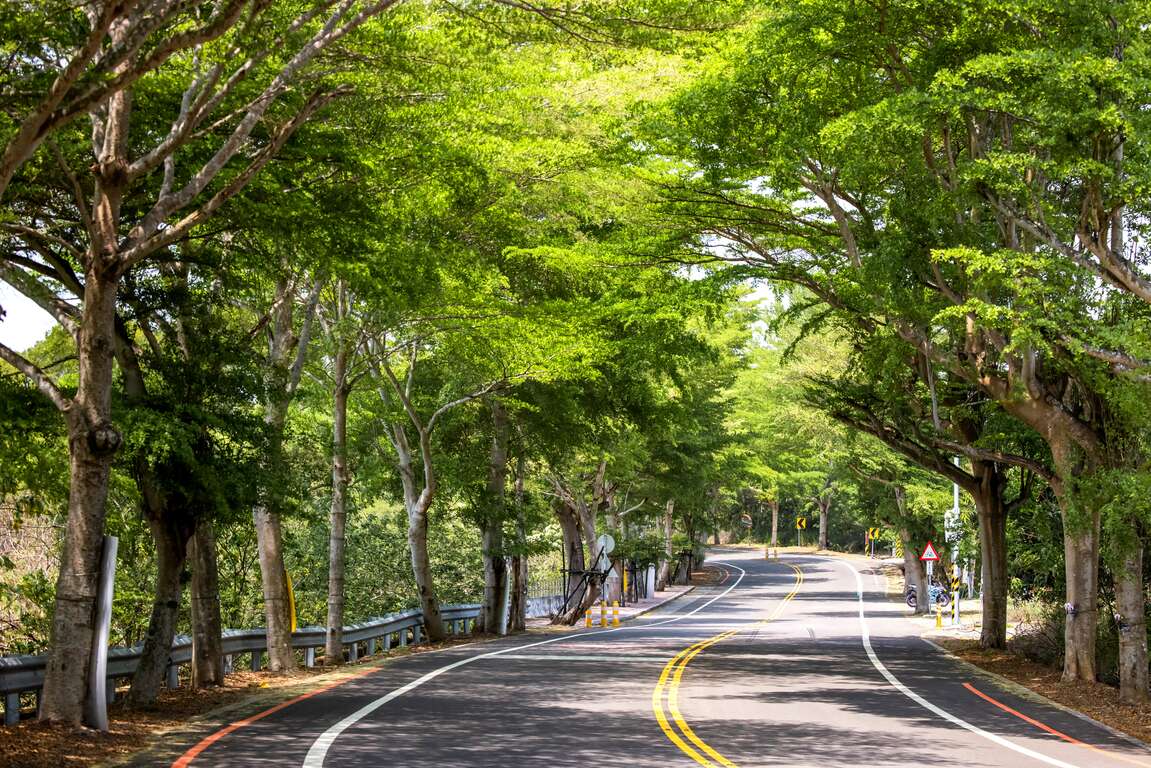 縣139景觀道路彎曲路