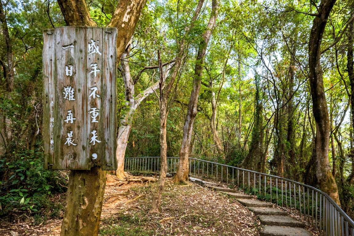 田中森林公園登山步道木頭標語