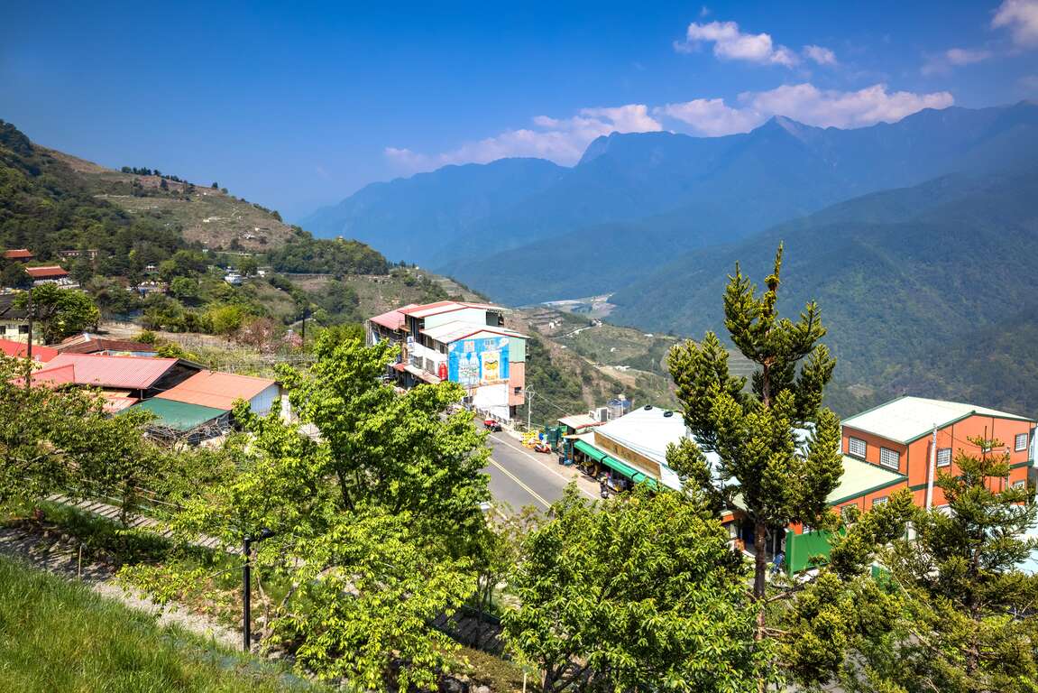 櫻緣丘山坡