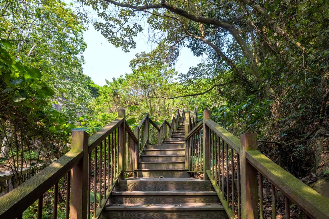 赤水崎公園階梯