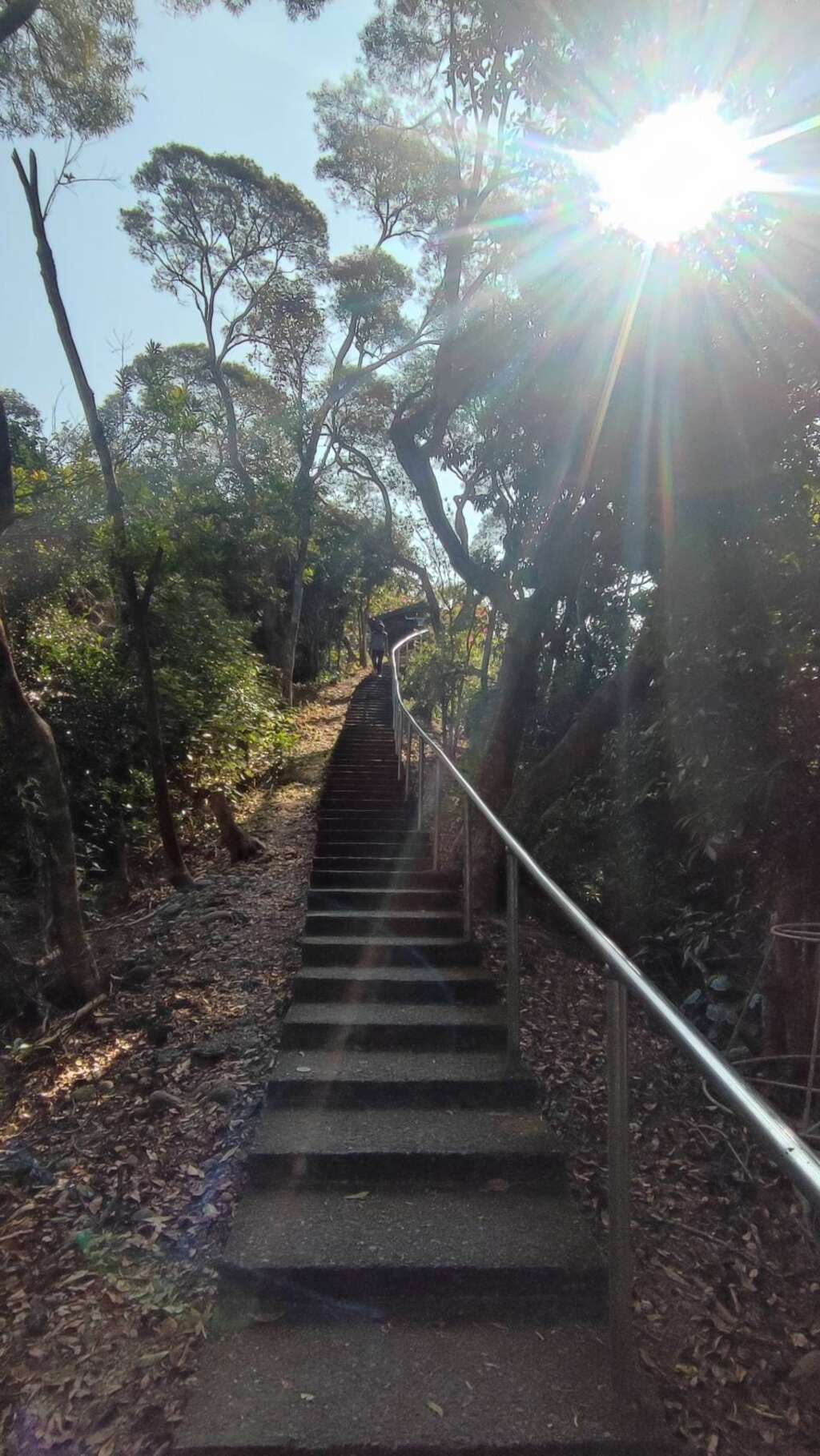臥龍坡步道階梯