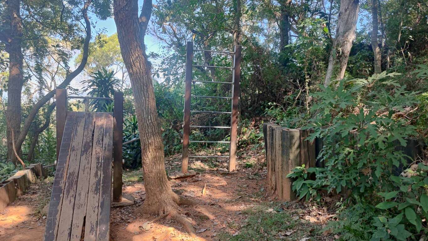 觀音山五峰步道樹木