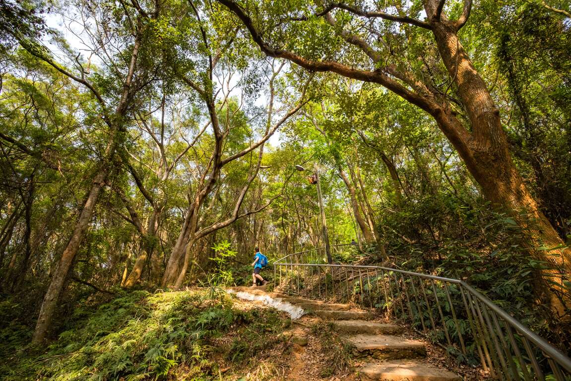 田中森林公園登山步道路線