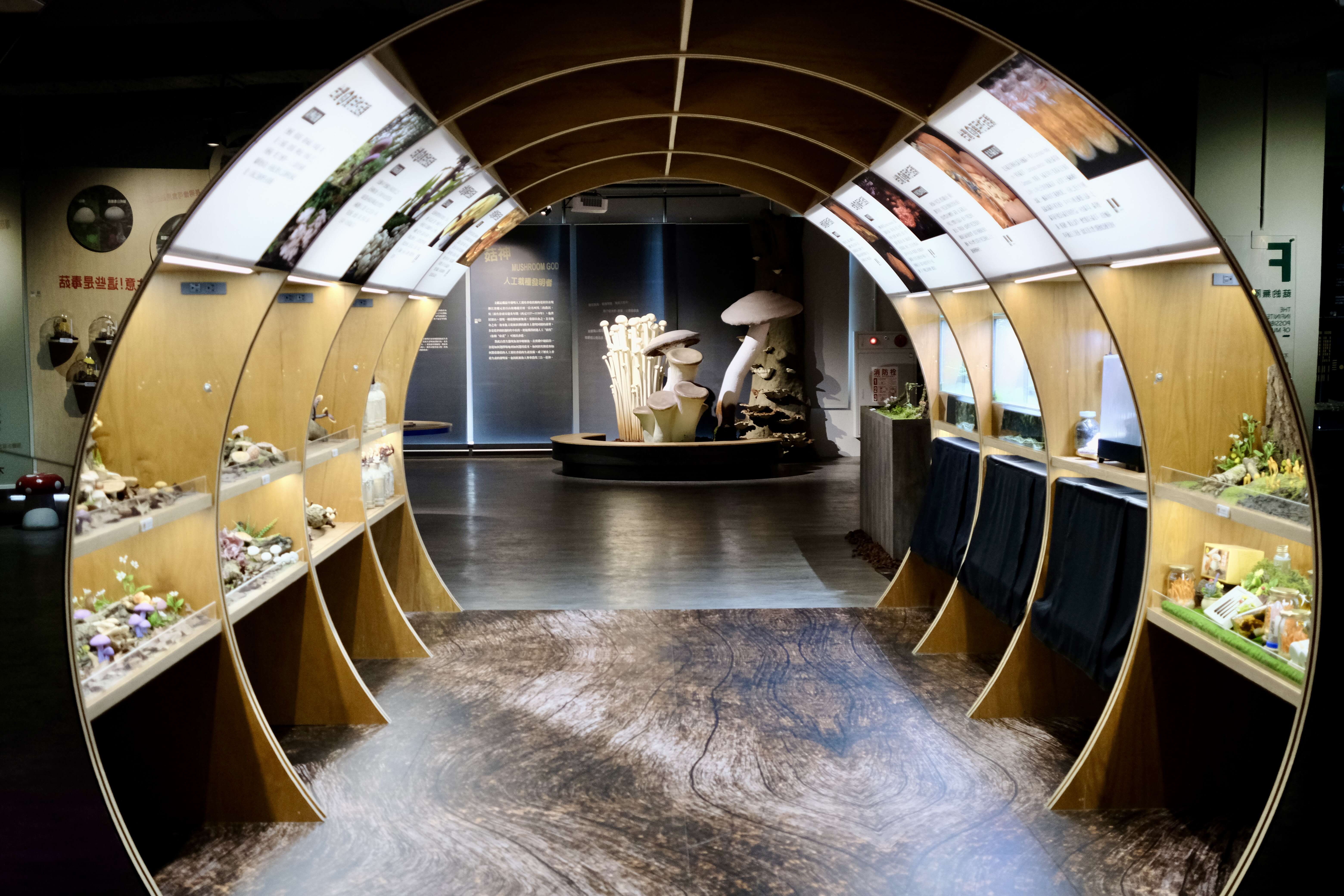 展示各種珍奇菇類的隧道