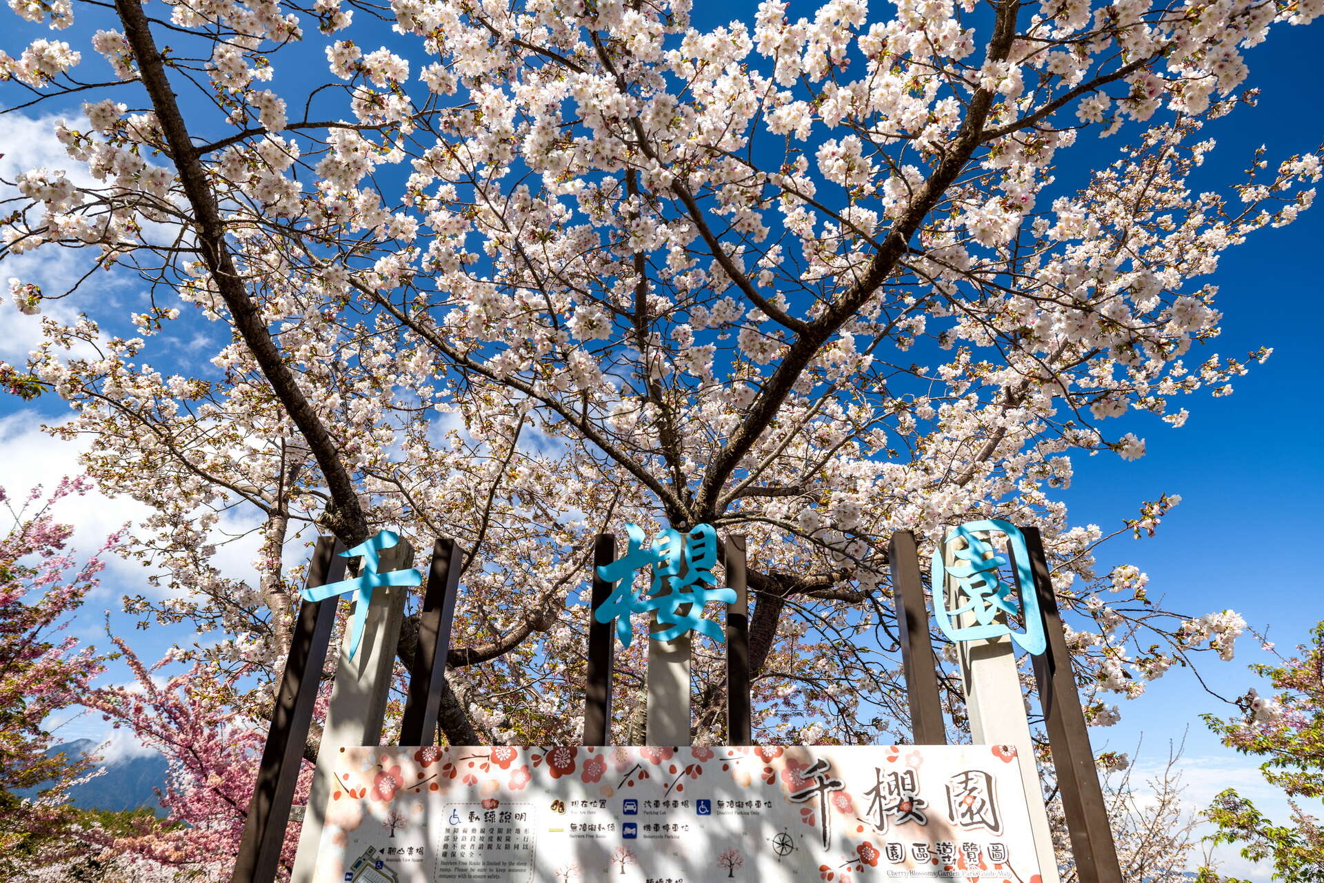 千櫻園招牌