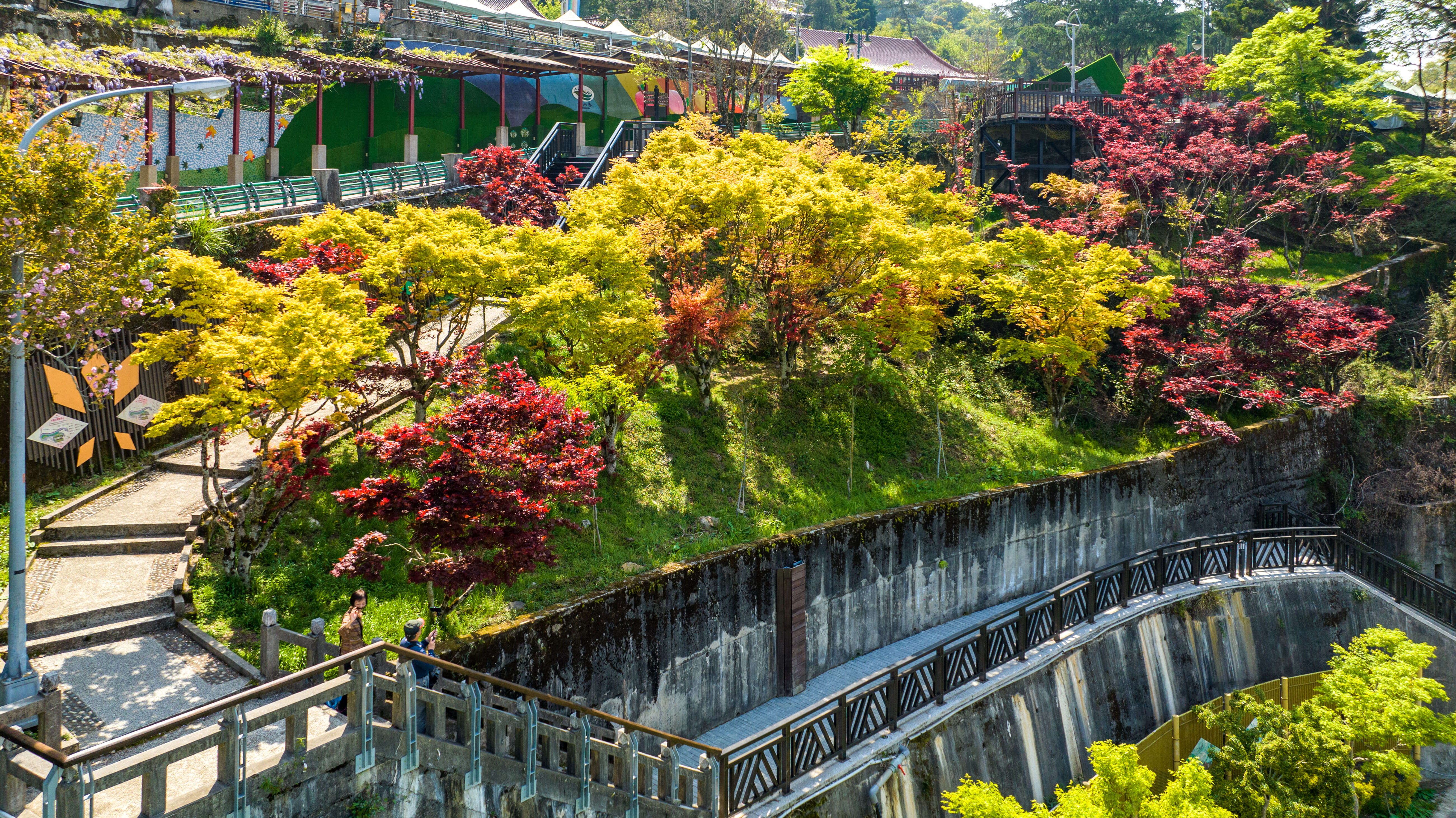 楓之谷-1956秘密花園步道