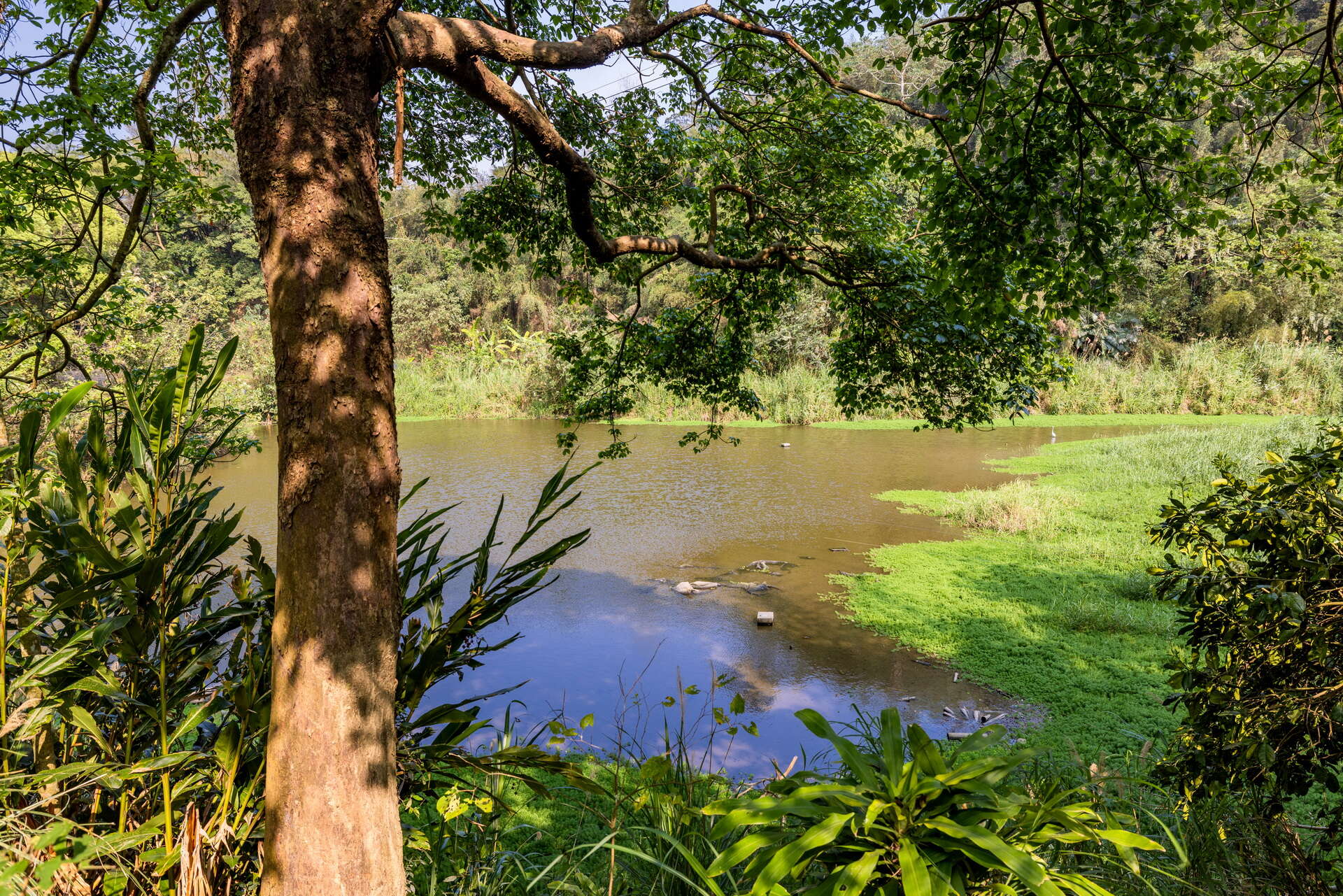 Shantangbei Hiking Trail