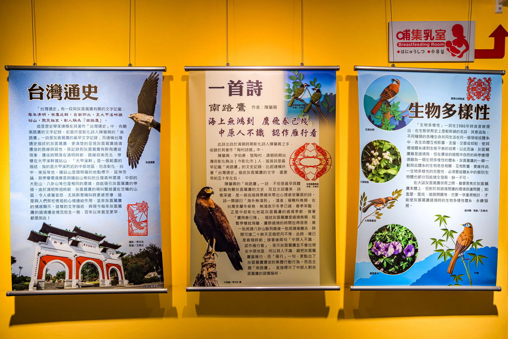 Baguashan Ecology Visitor Center (Grey-faced Buzza