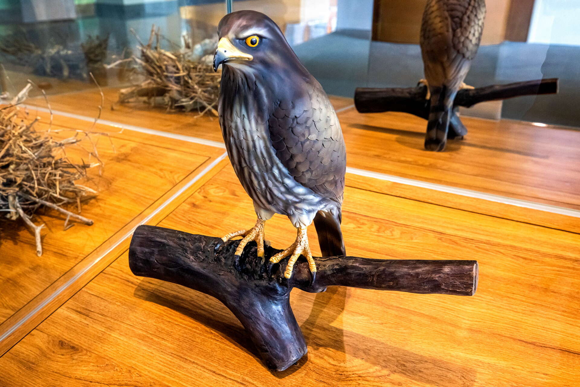 八卦山脈生態ビジターセンター（サシバテーマ館）