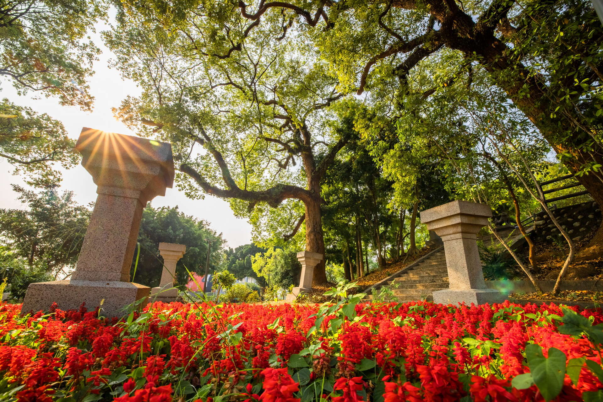 百果山遊憩區花卉