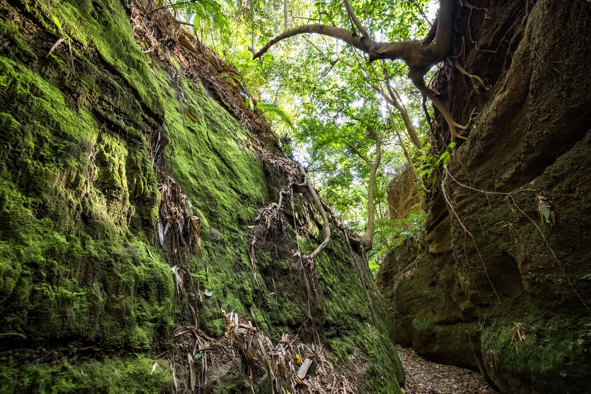 Changhua City's One-Line Sky Trail
