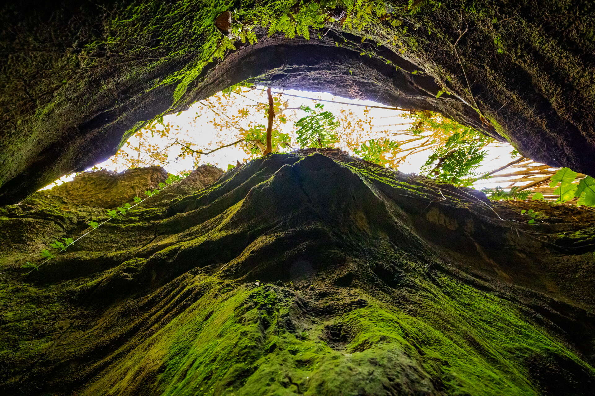 Changhua City's One-Line Sky Trail
