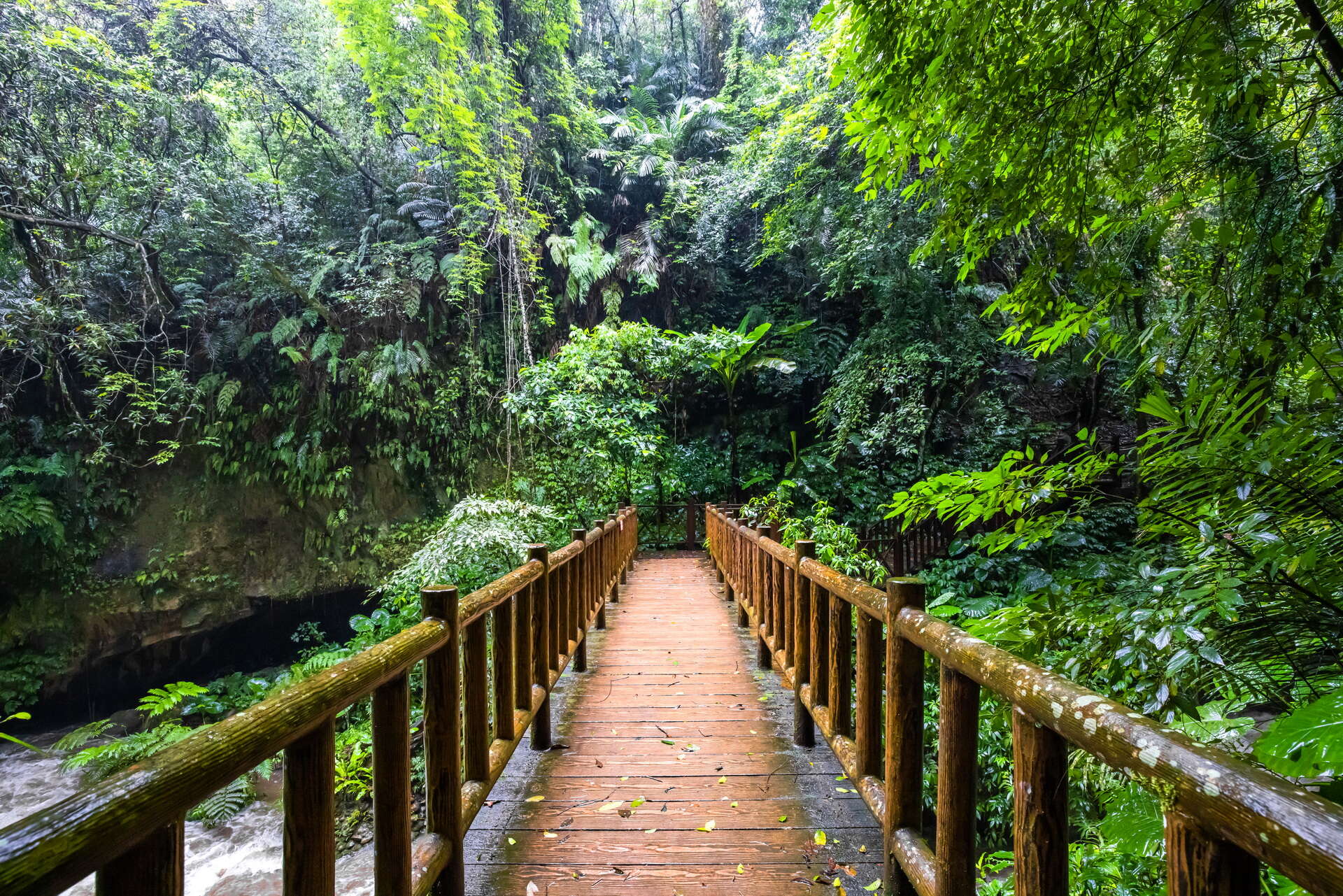 Shuilian Bridge Trail
