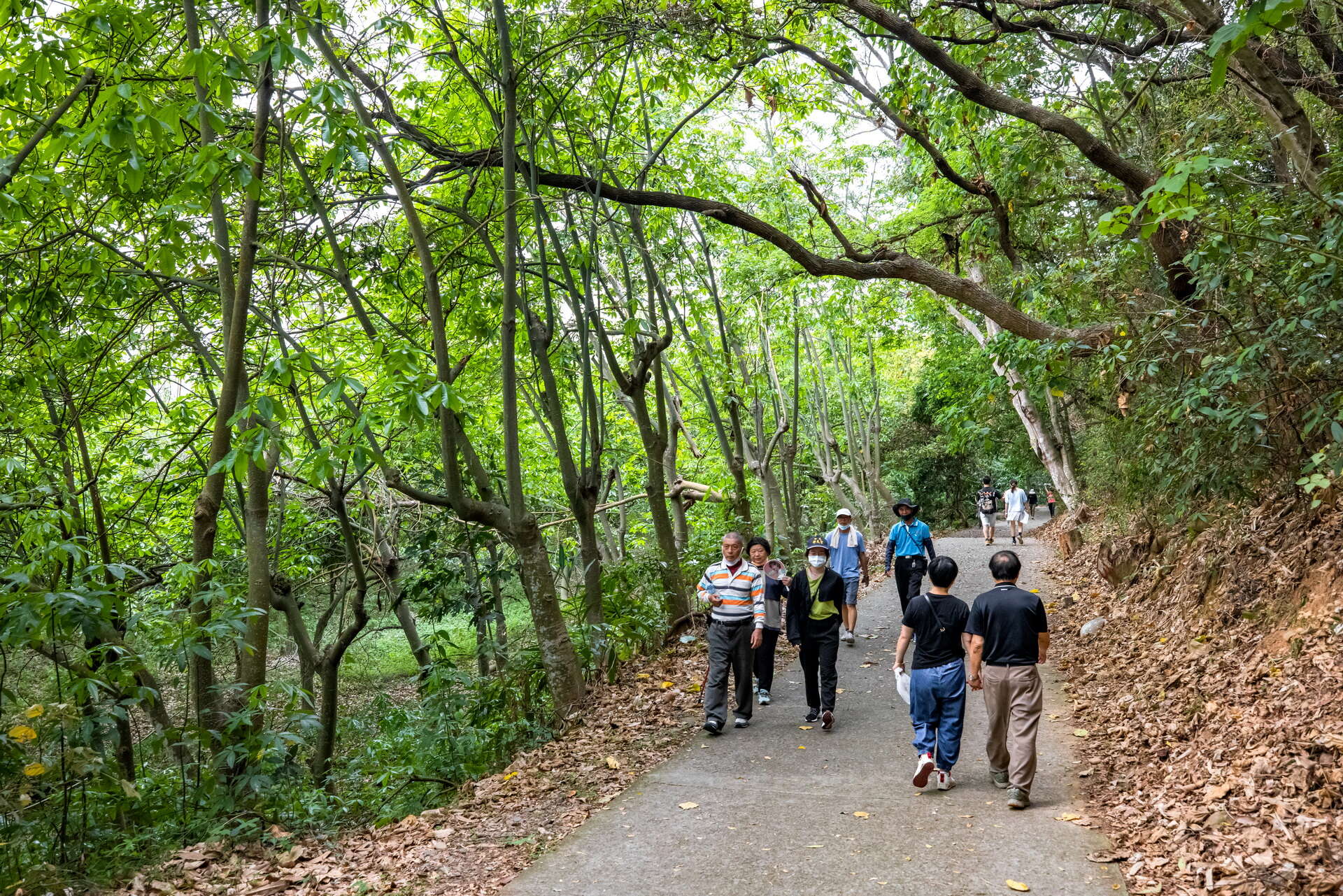 長青自行車道&步道民眾登山