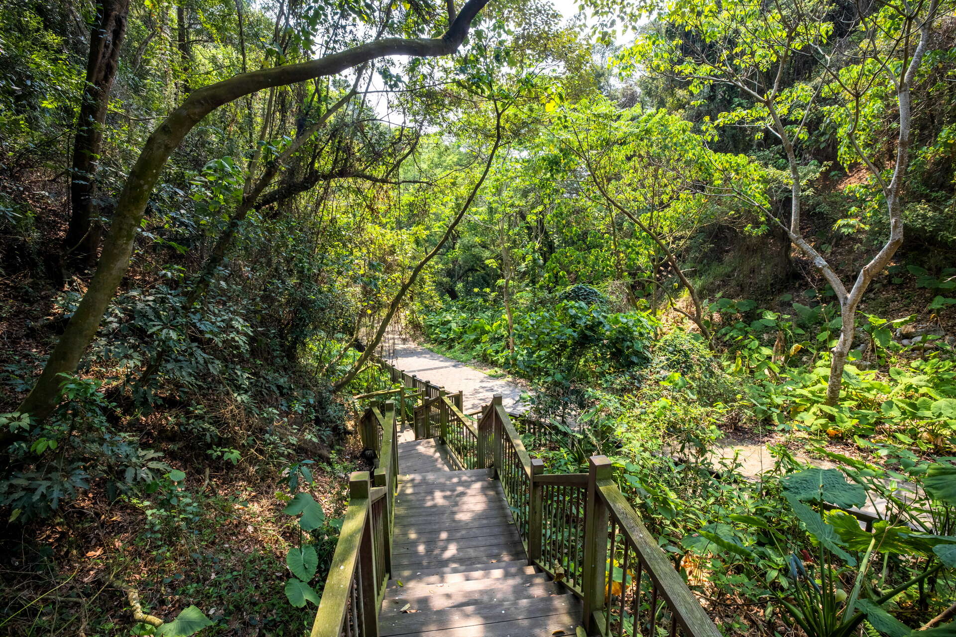 赤水崎公園-木棧步道