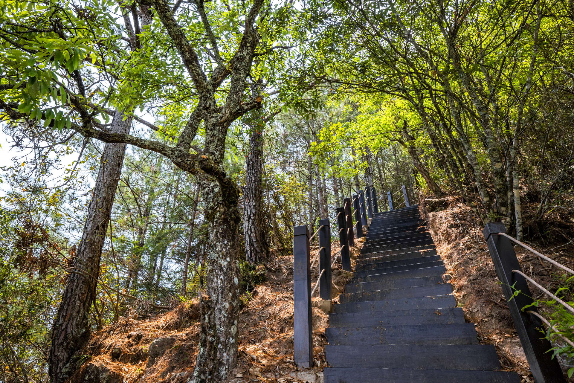 環山部落-獵人步道