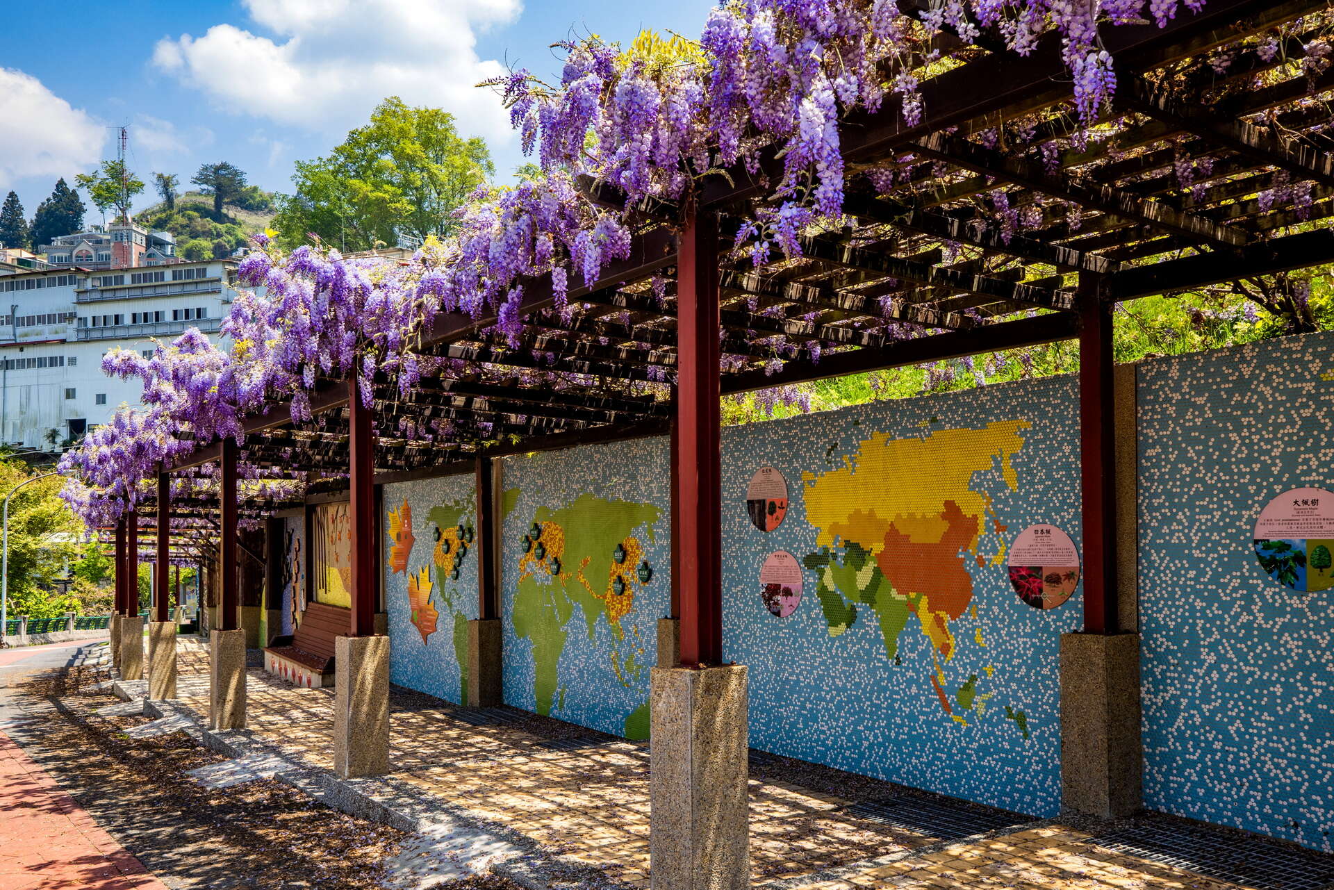 楓の谷-1956秘密の花園