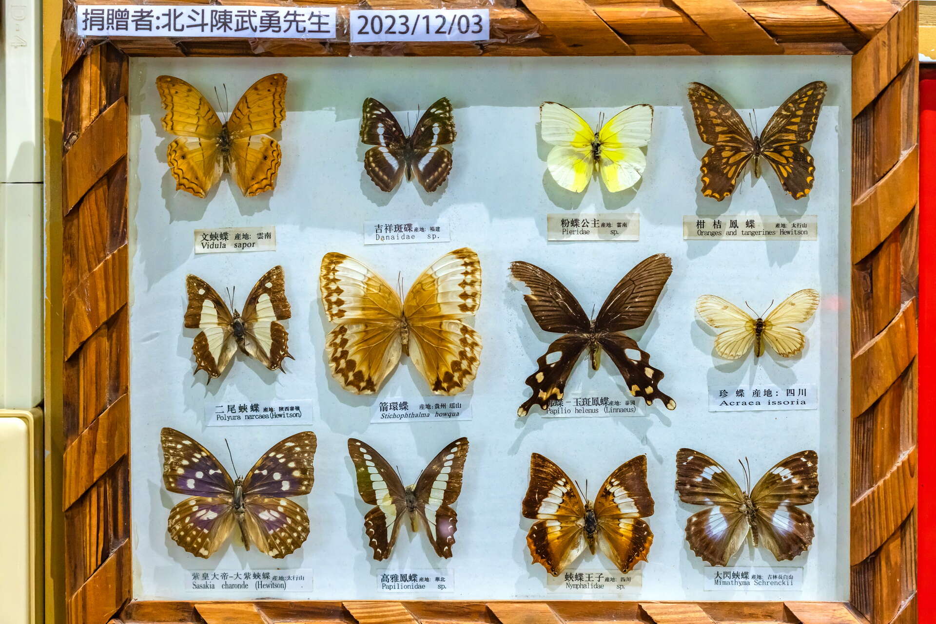 清水岩（社区の小旅行、自然生体園区）