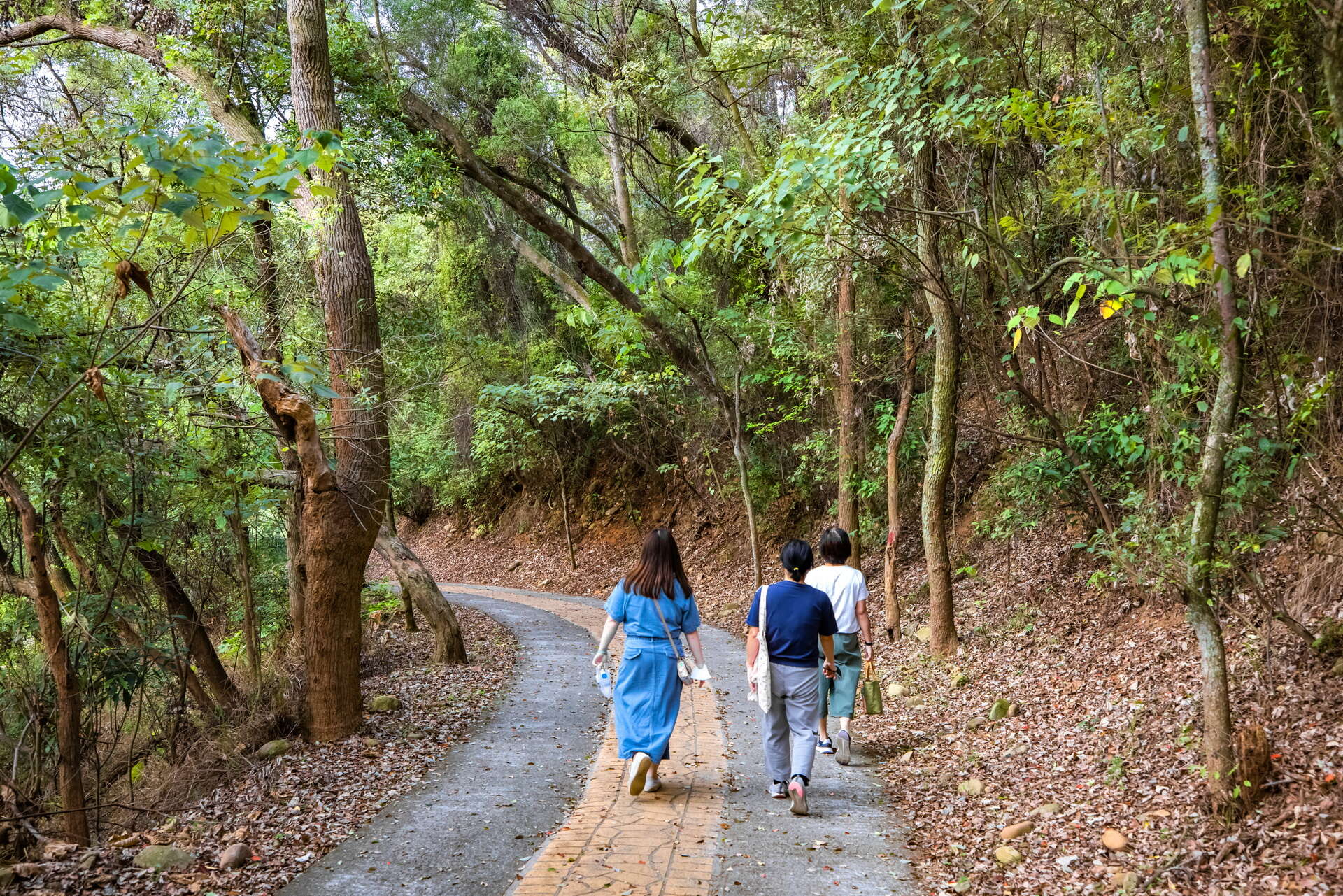 長青自行車道&步道民眾爬山