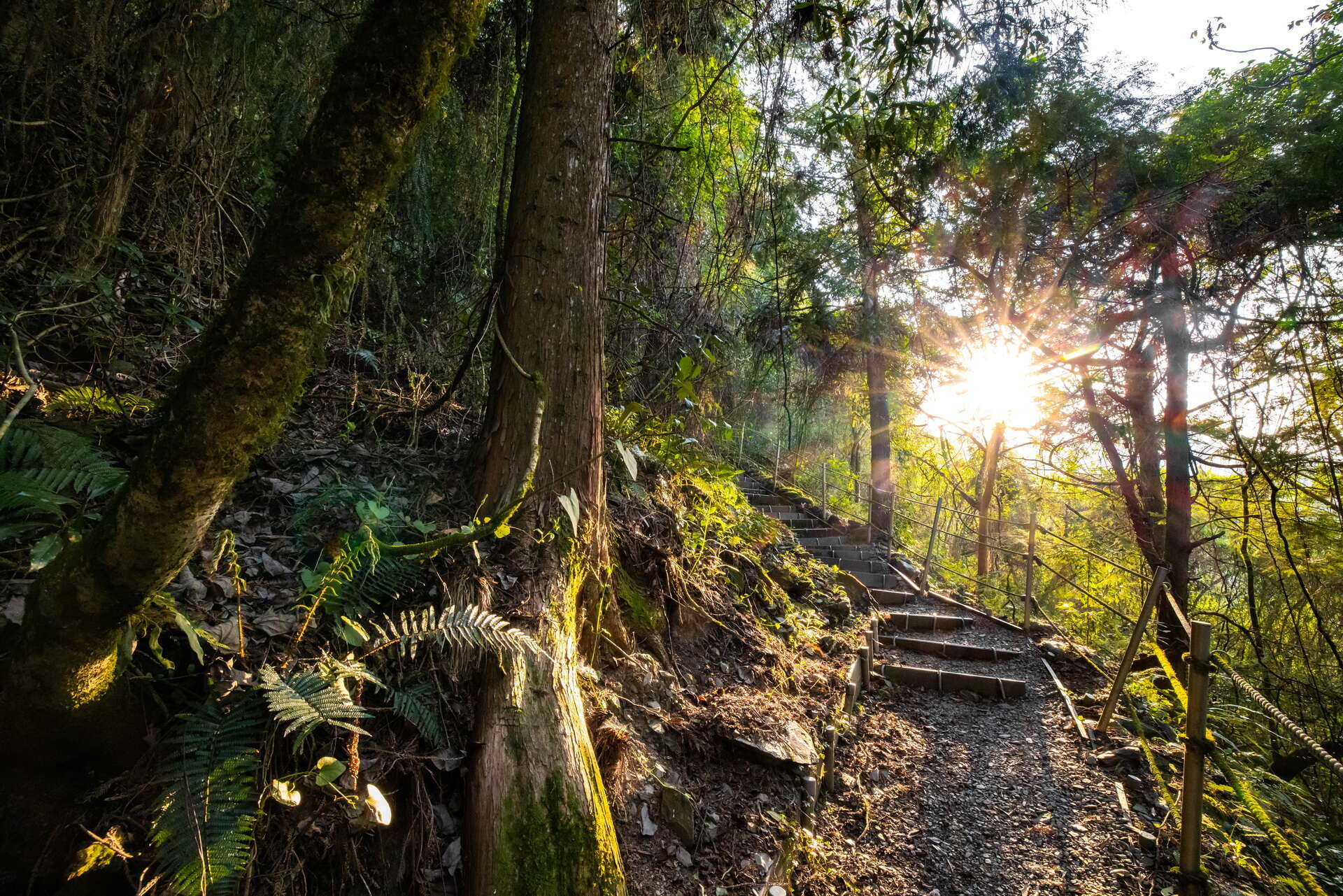 Siliq Trail (Level 2)
