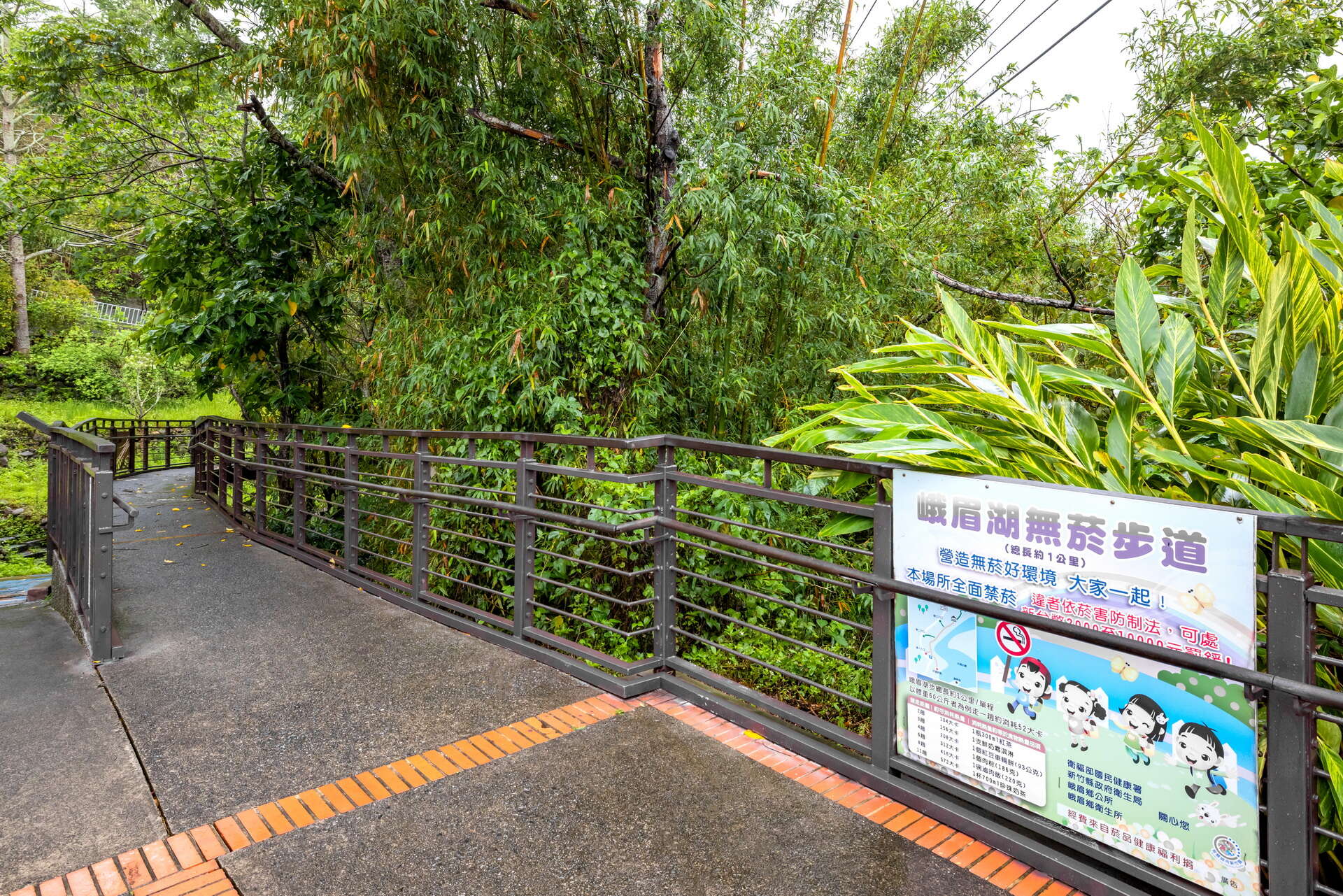 Emei Lake Round-the-Lake Trail (Level 1)
