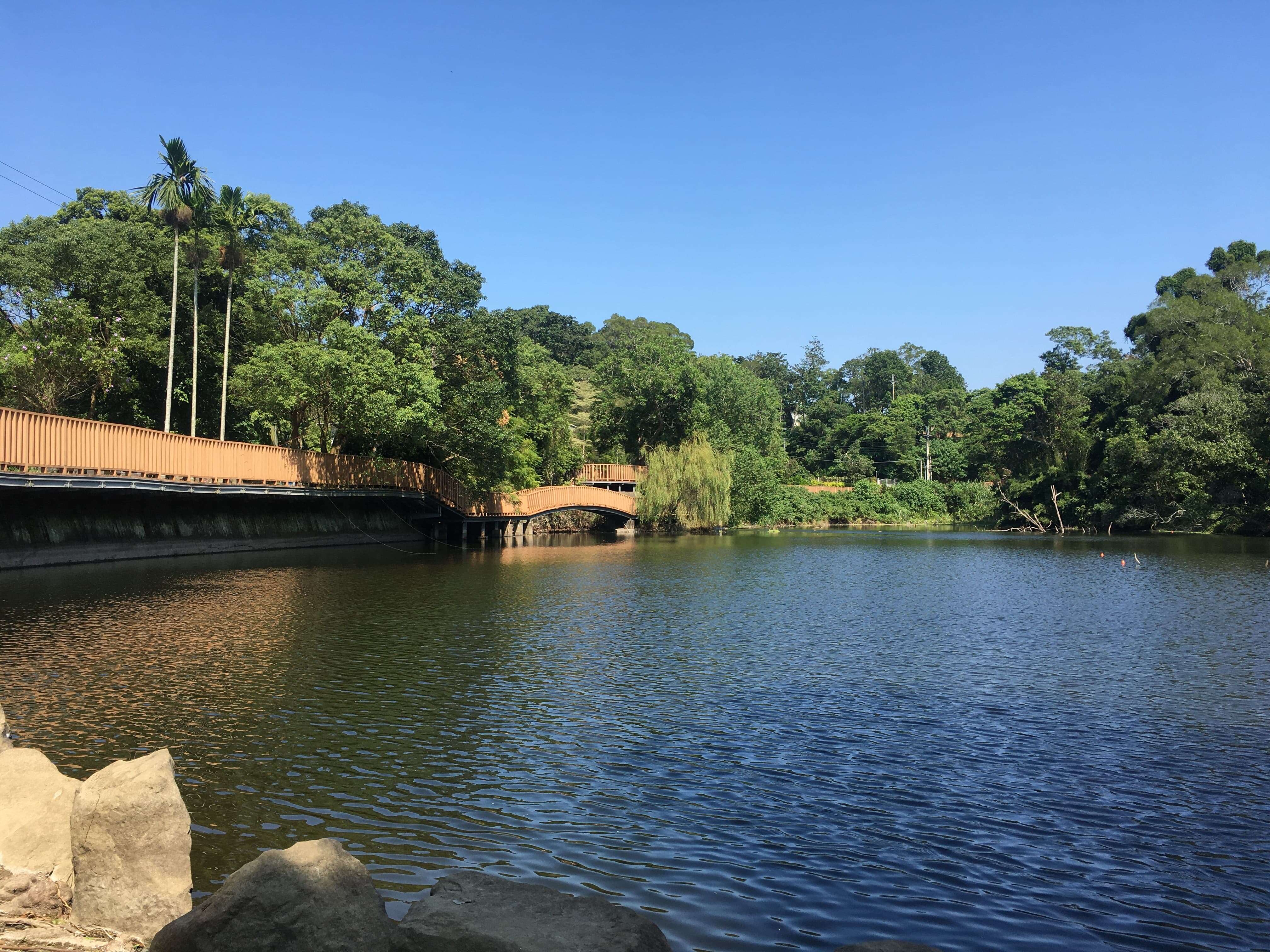 Tongjing Forest Trail (Level 1)
