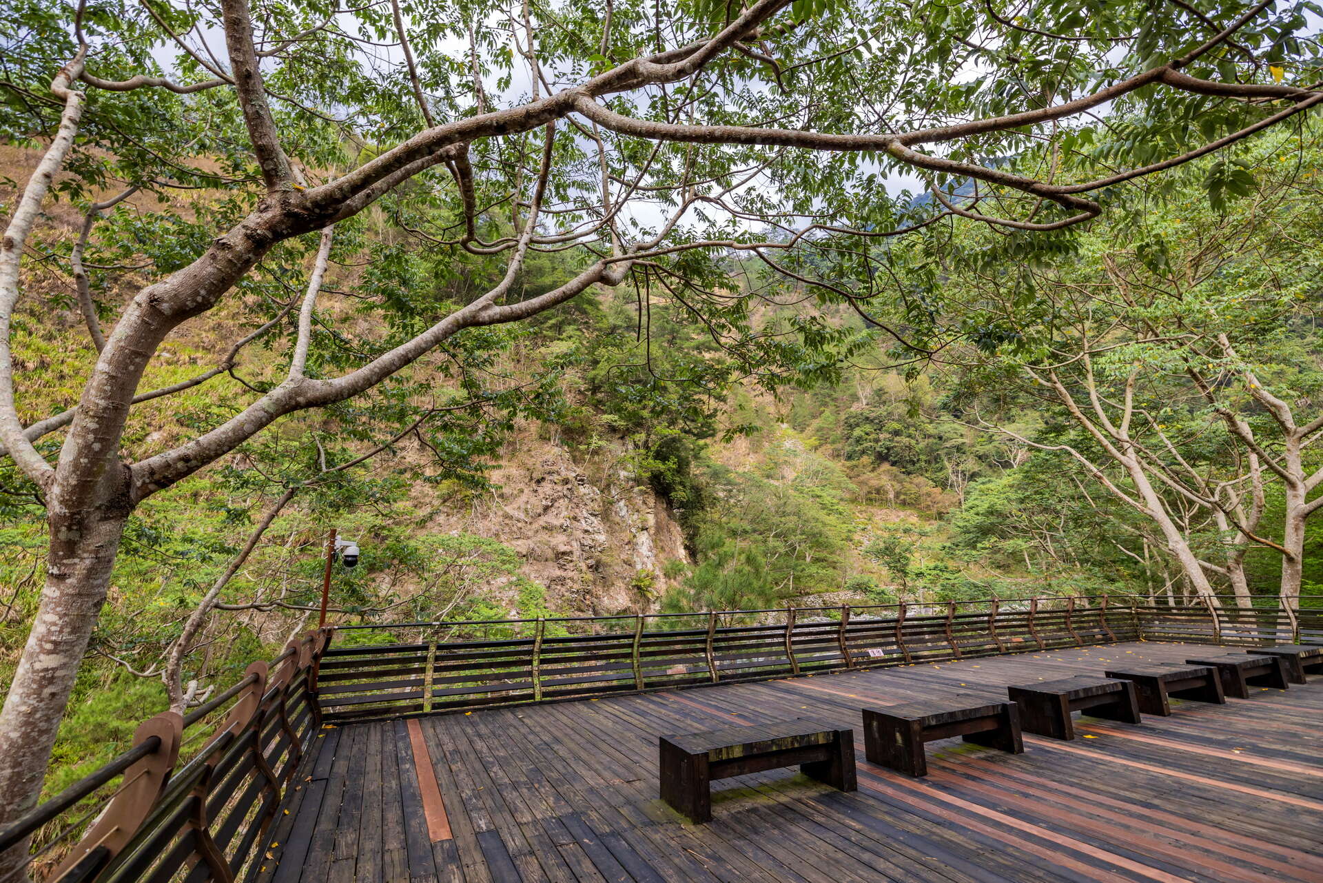 八仙山森林遊樂區木棧廣場