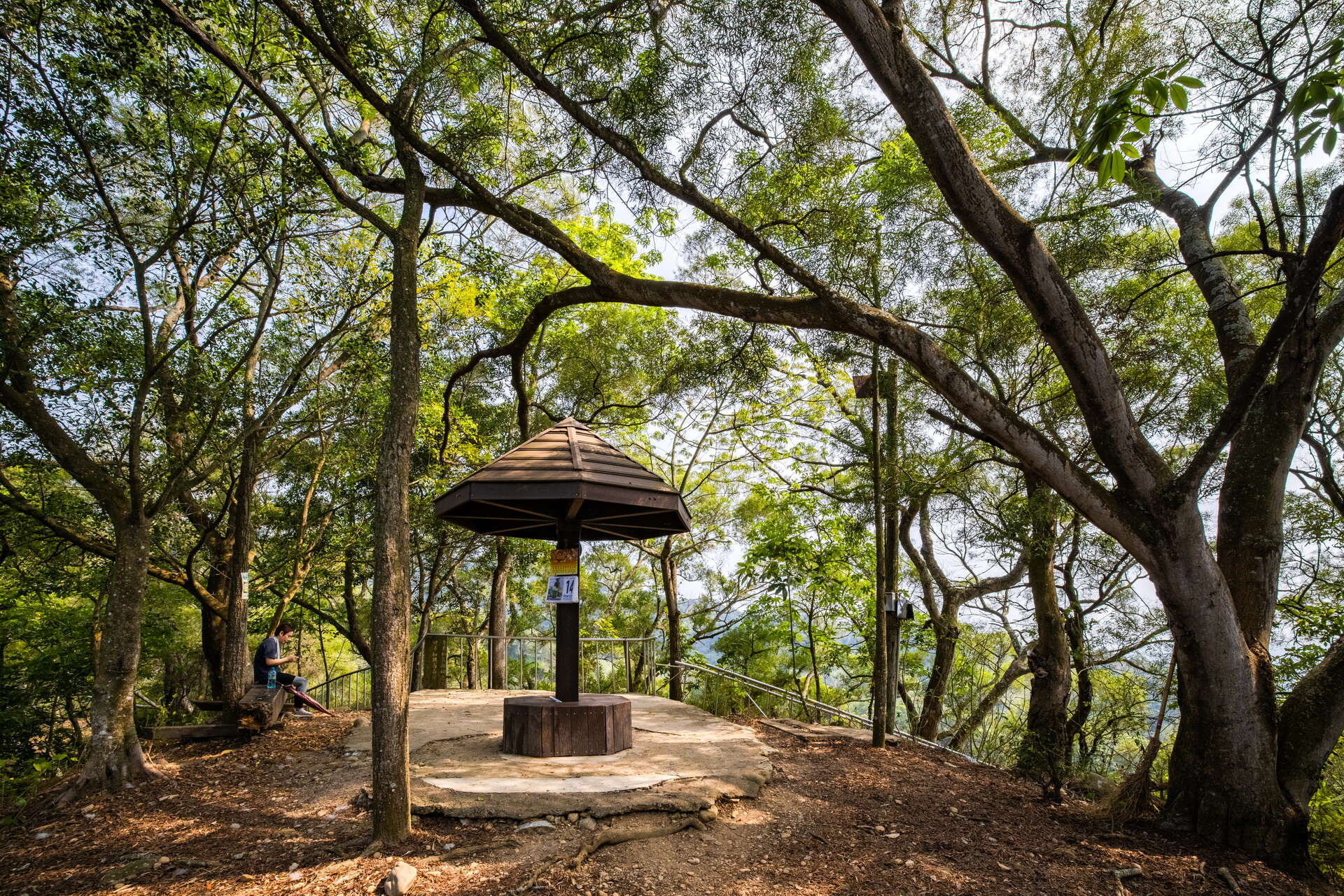 Tianzhong Forest Trail (level 1)