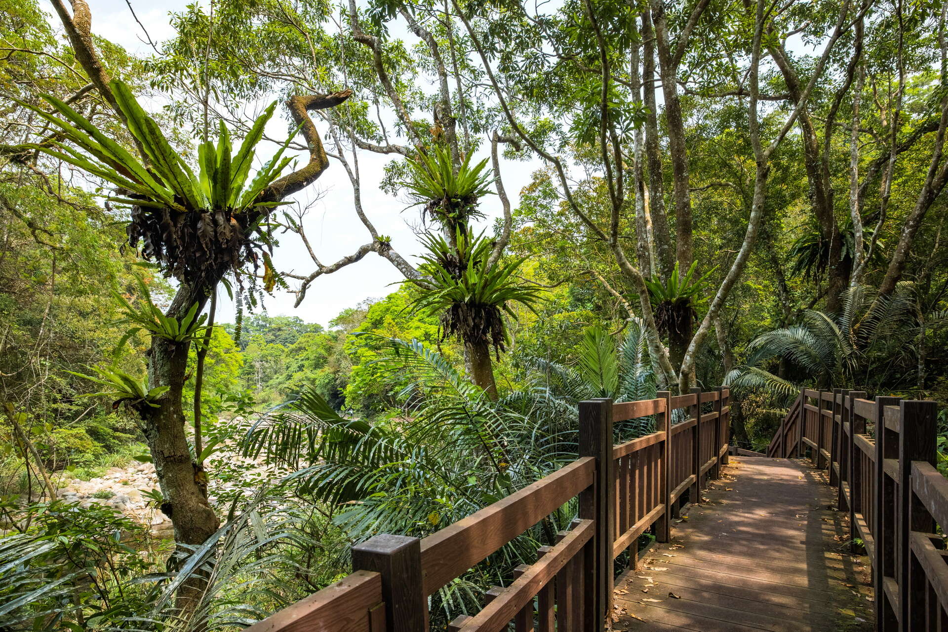 Penglai River Ecology Park (Level 1)