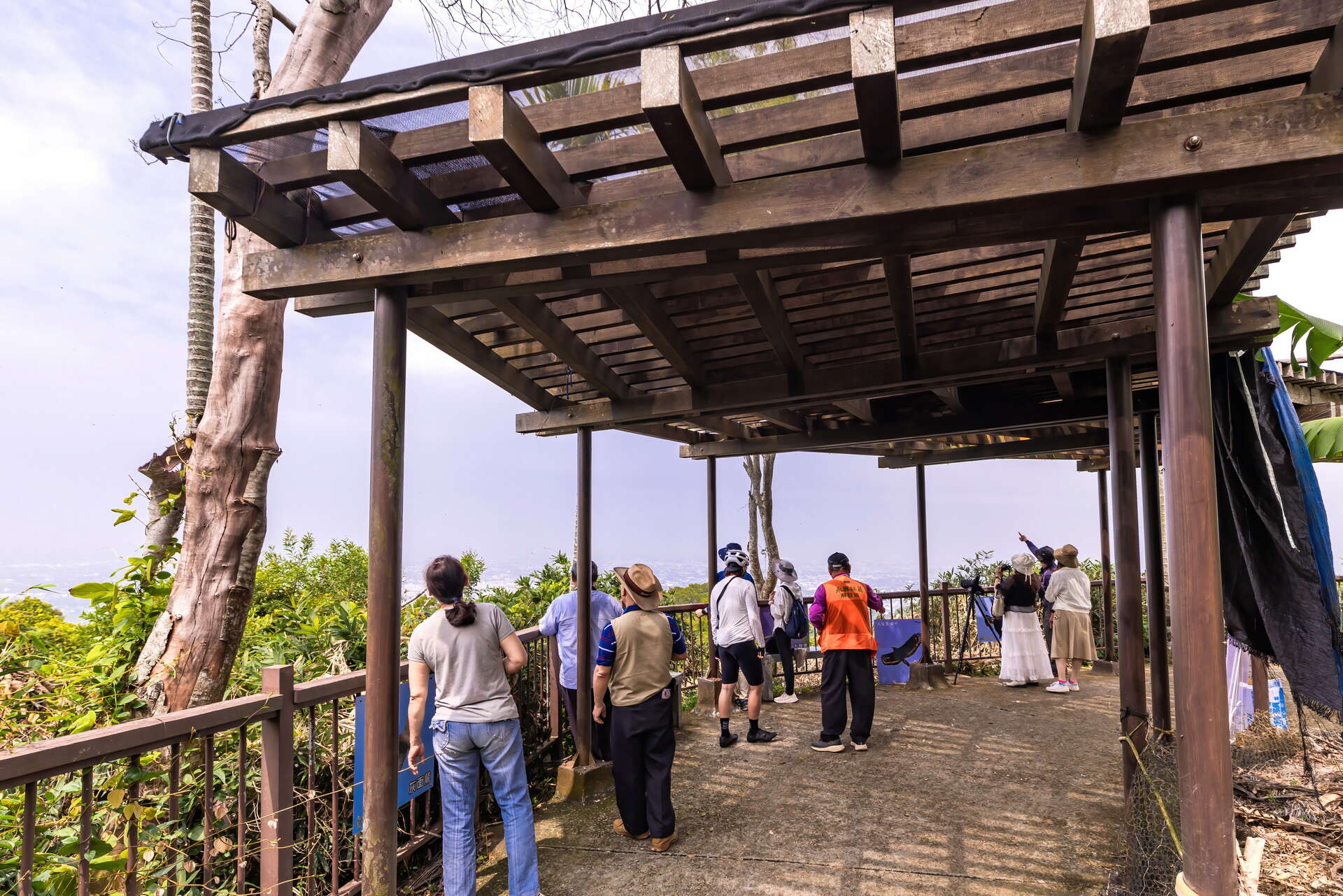 橫山賞鷹平台民眾賞鷹