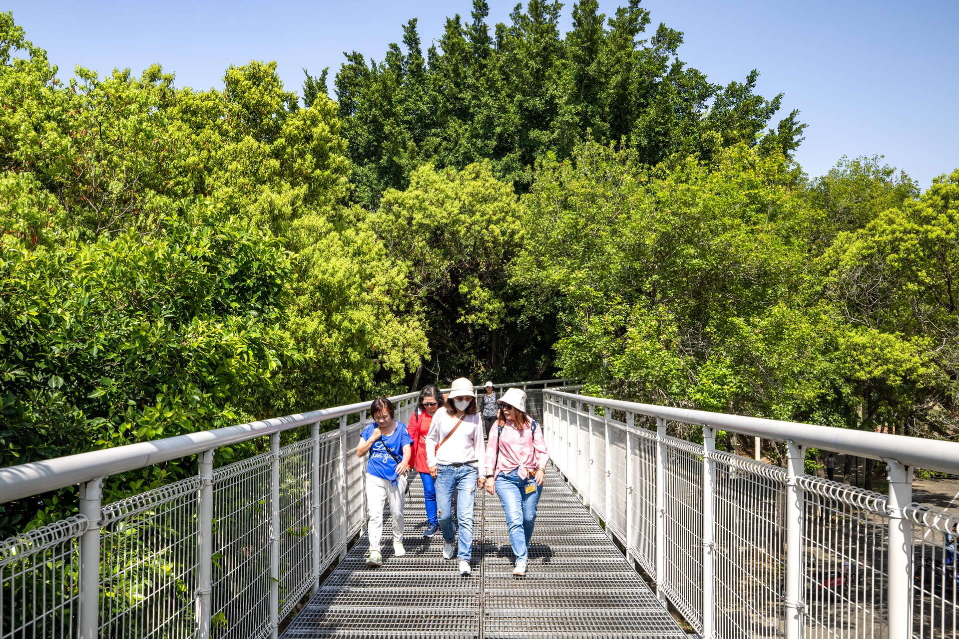 八卦山大佛風景區天空之橋與民眾