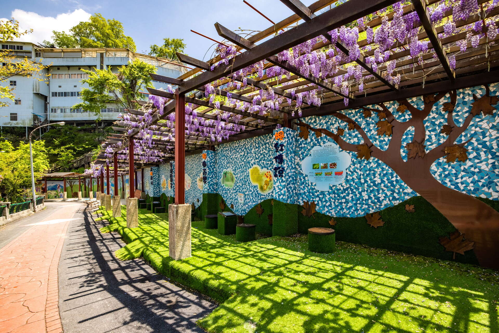 楓之谷-1956秘密花園-紫藤藤蔓