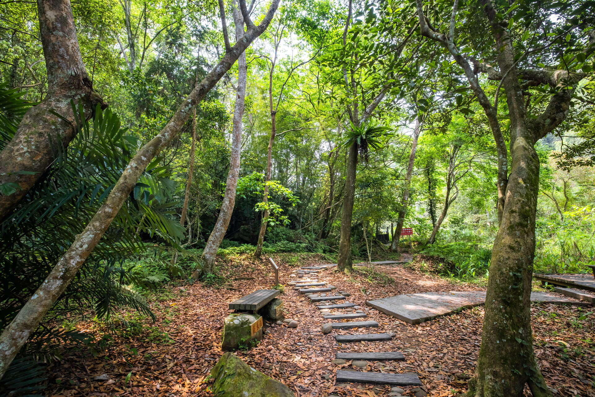 蓬萊溪自然生態園區石磚