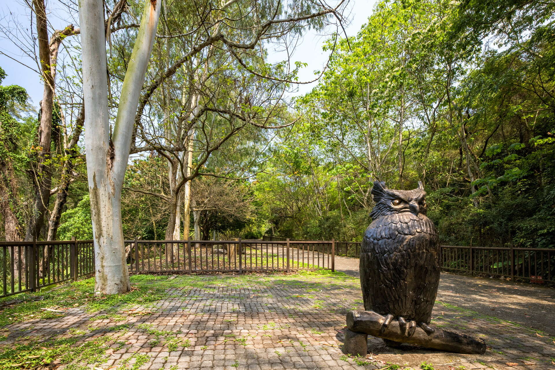 赤水崎公園-貓頭鷹雕塑