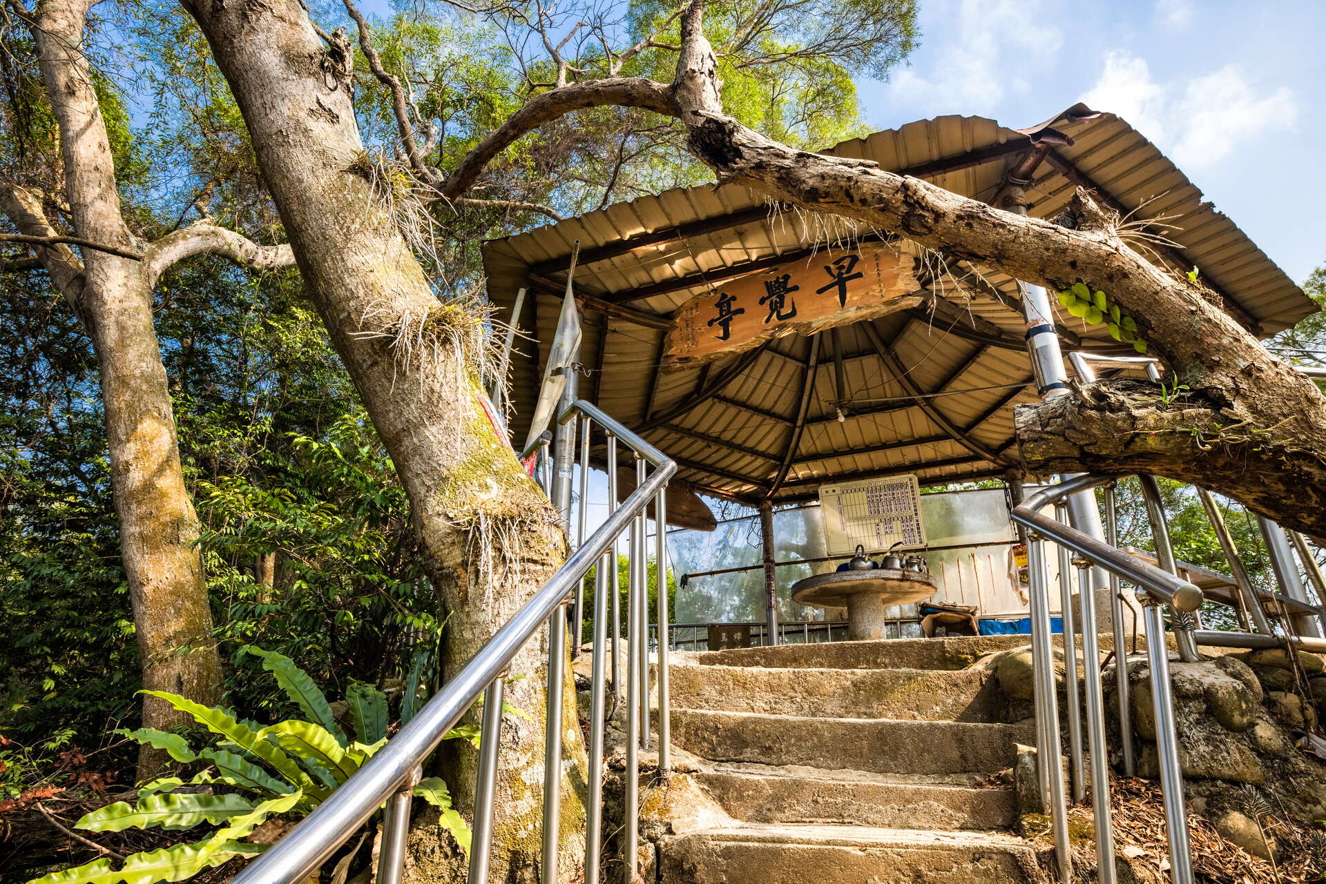 田中森林公園登山步道-石階