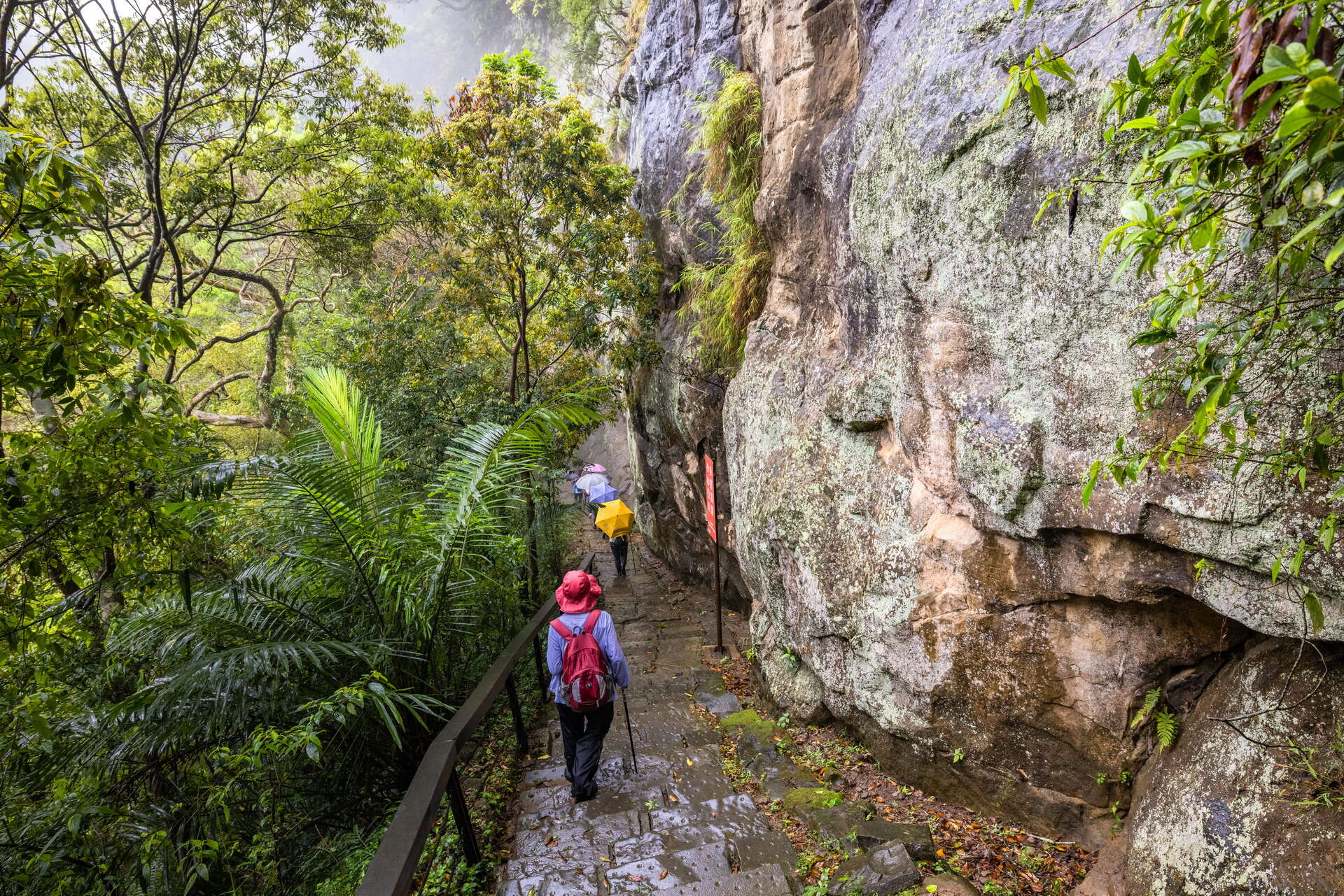桐の花に恋して北埔を訪問