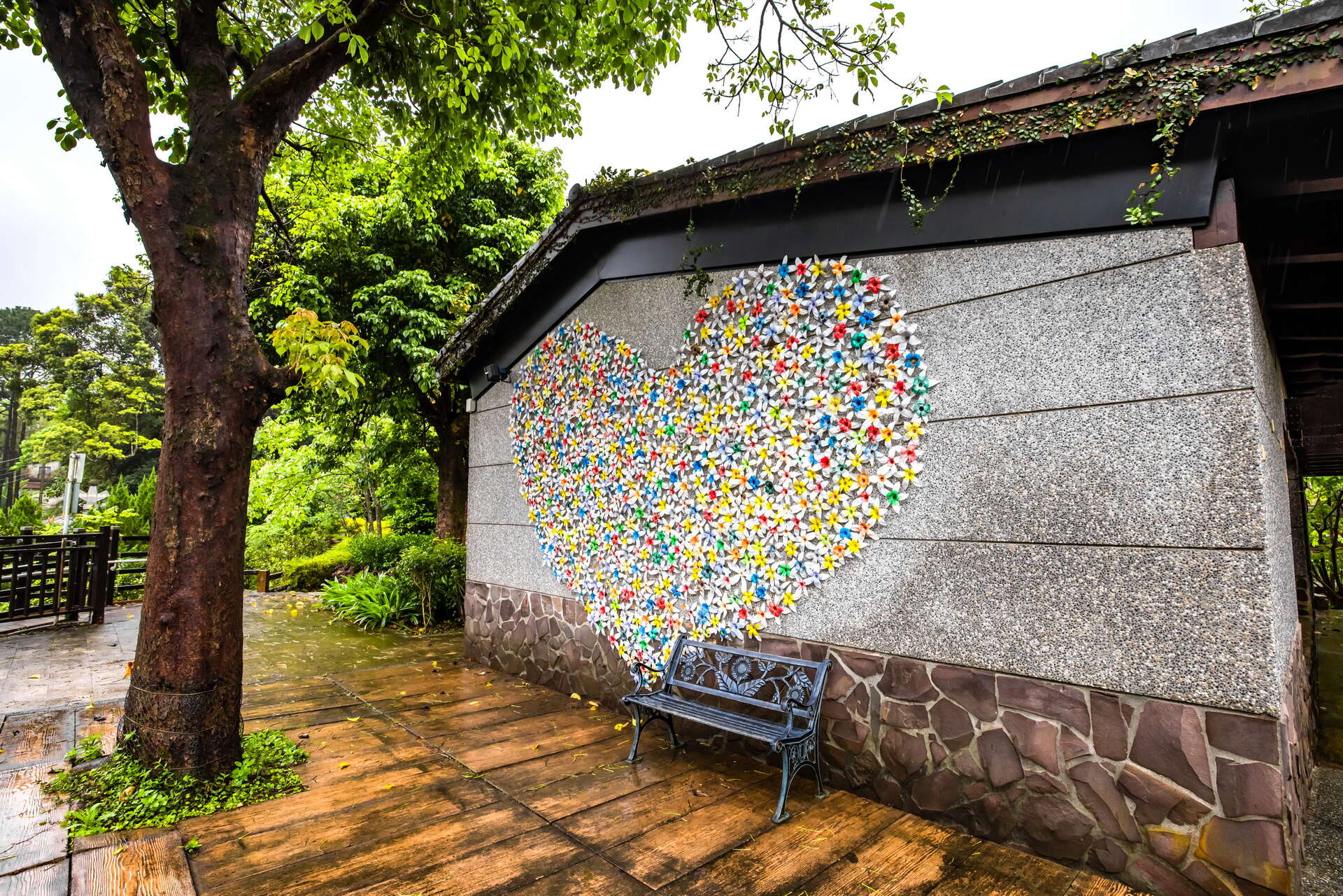 桐の花に恋して北埔を訪問