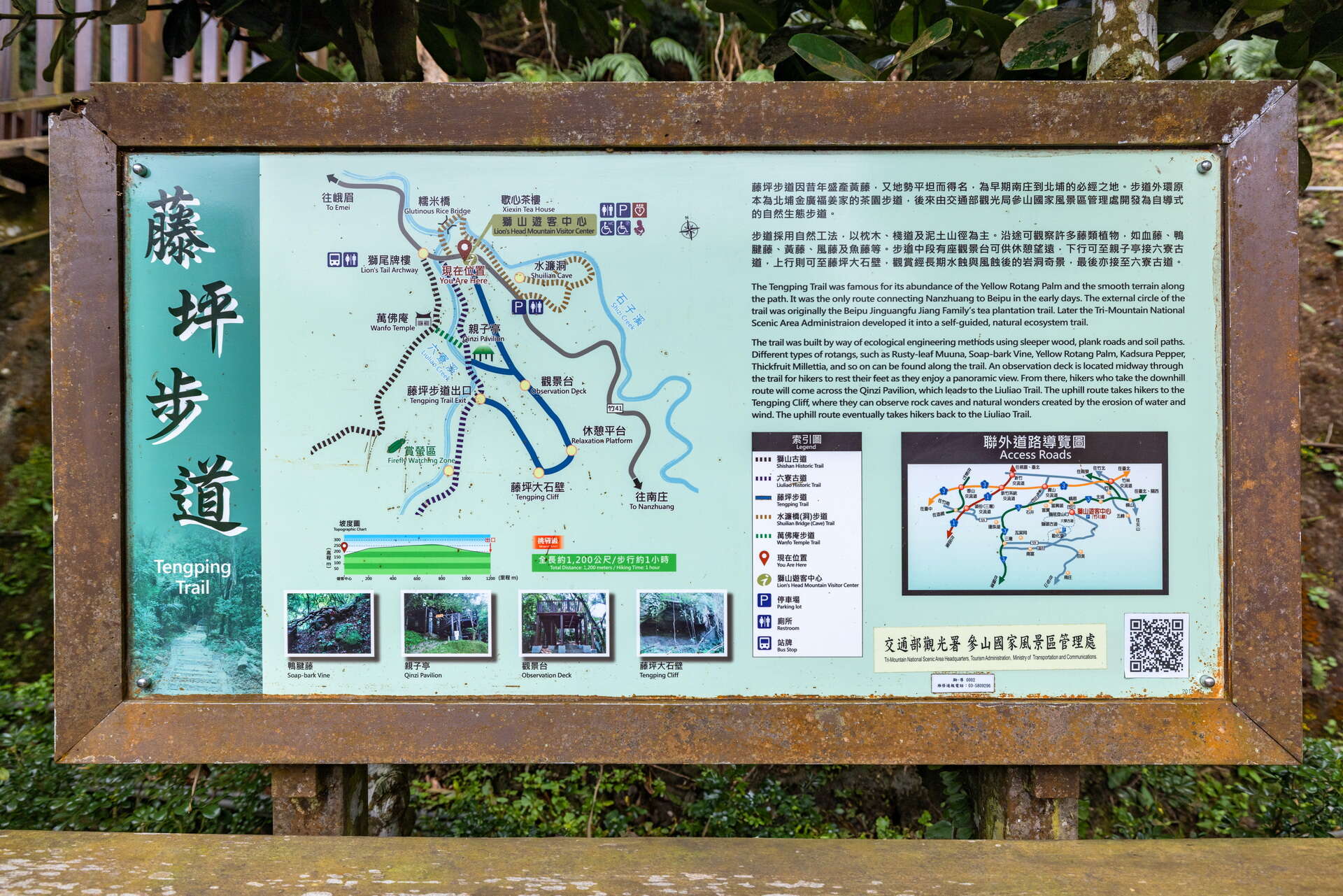 桐の花に恋して北埔を訪問