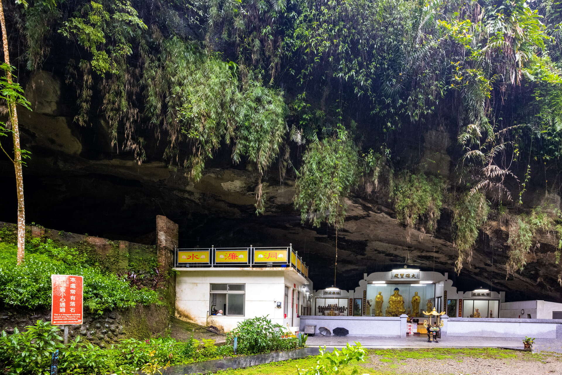 桐の花に恋して北埔を訪問