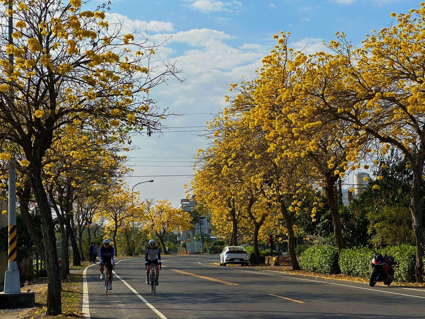 4.民眾透過行動旅服，探索中台灣春季花景