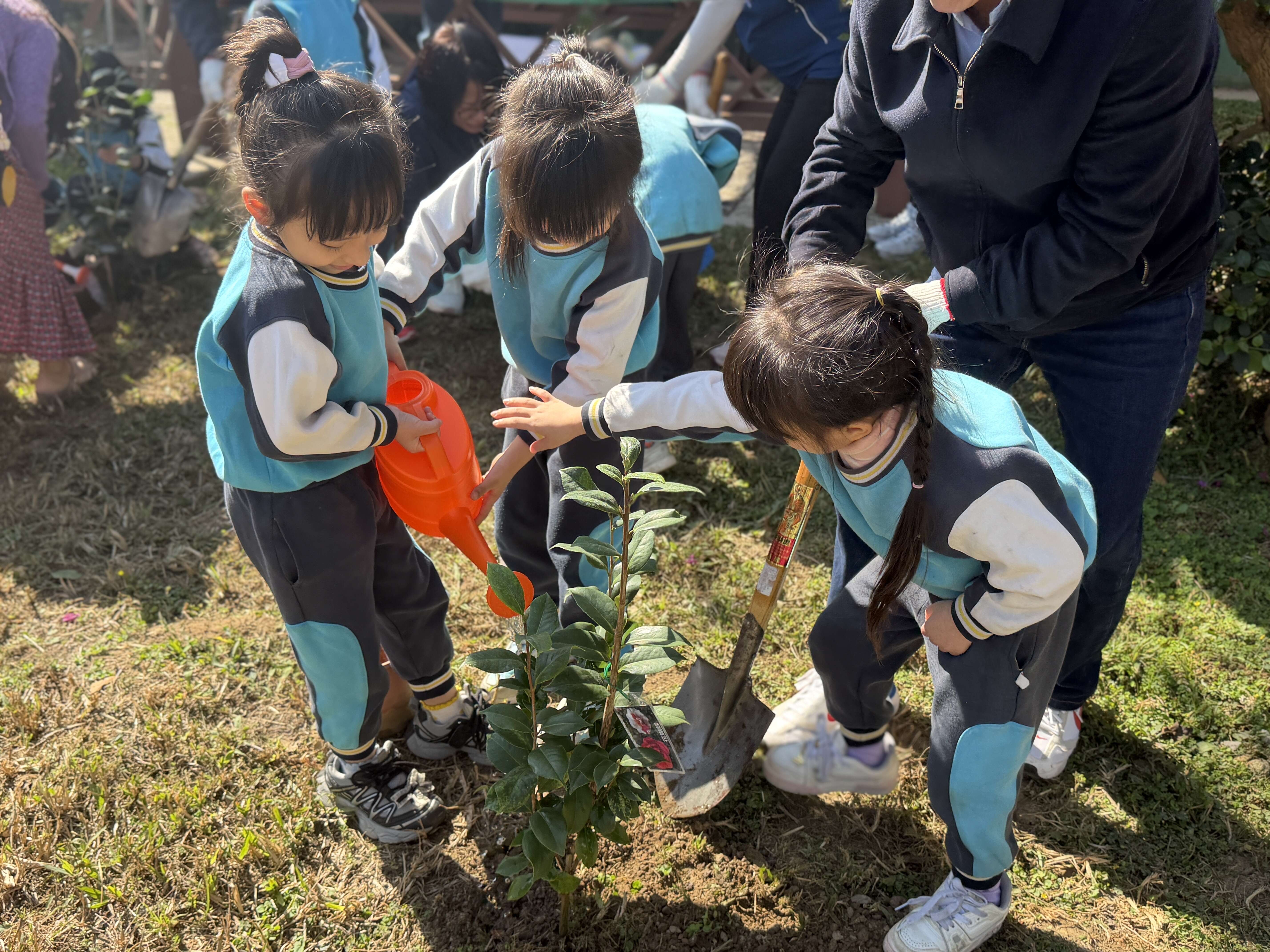 小朋友一起植樹