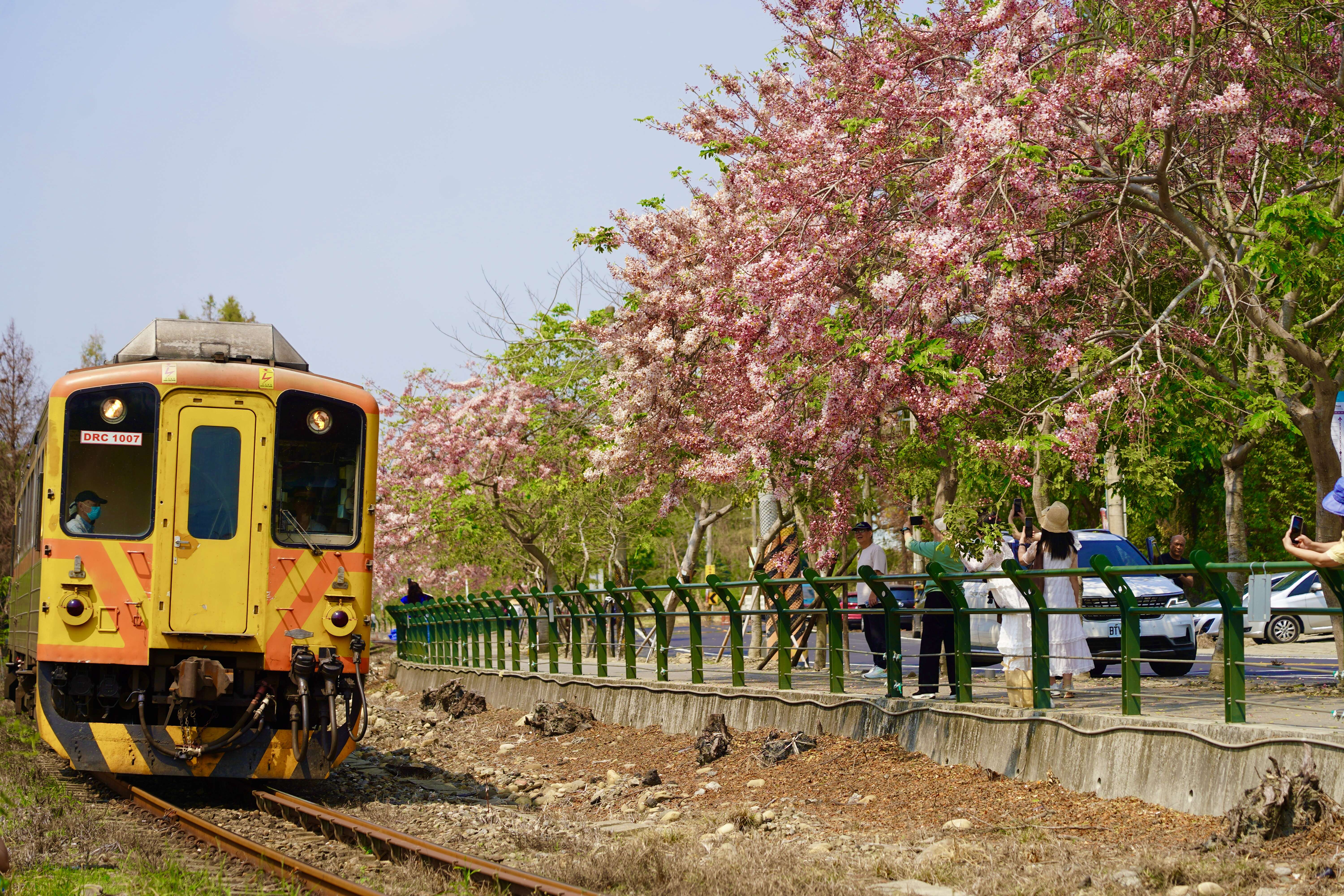 二水黃旗木鐵道照